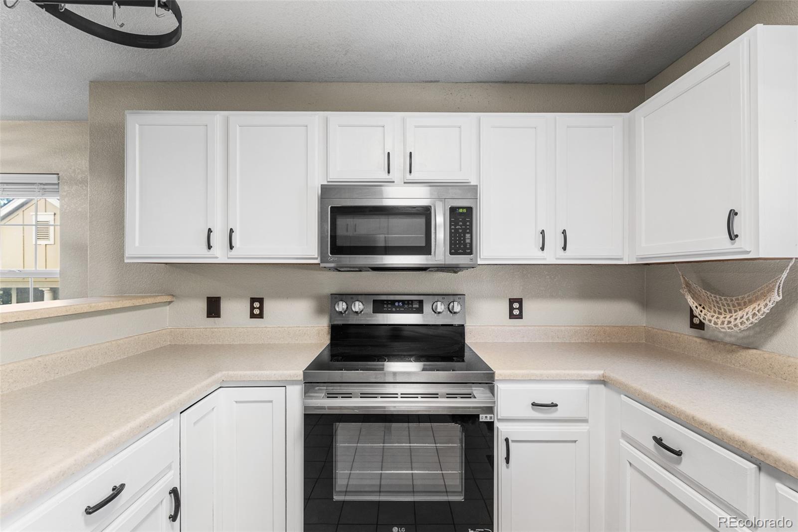 MLS Image #10 for 1486  nemrick place,castle rock, Colorado