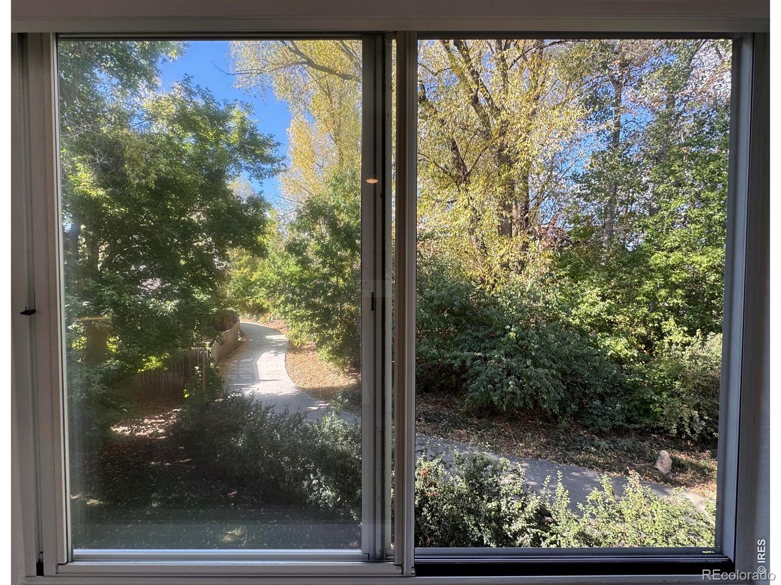 MLS Image #17 for 4824  hopkins place,boulder, Colorado