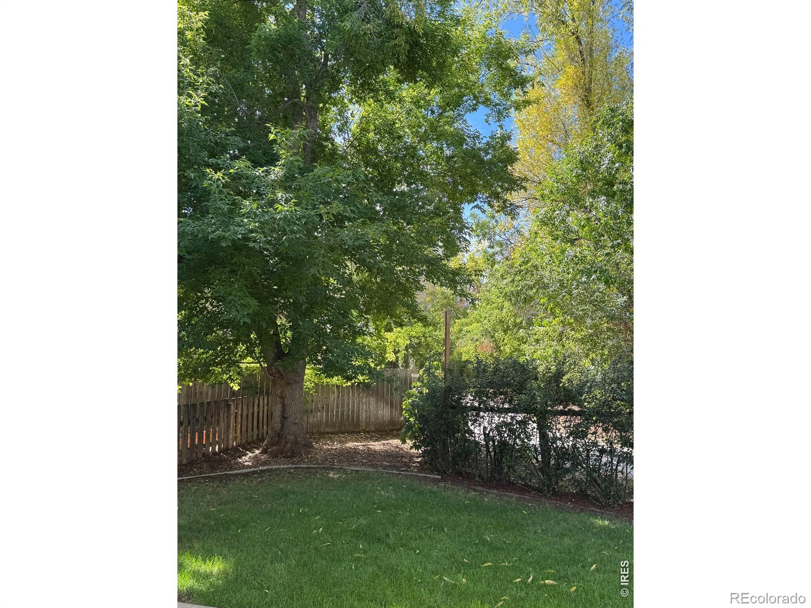MLS Image #26 for 4824  hopkins place,boulder, Colorado