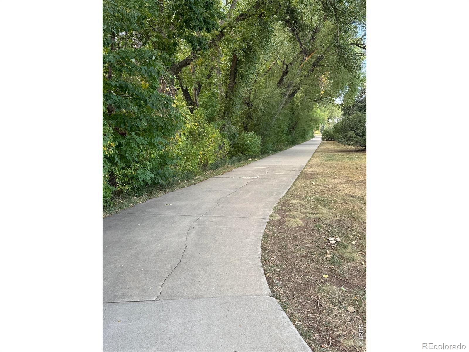 MLS Image #31 for 4824  hopkins place,boulder, Colorado
