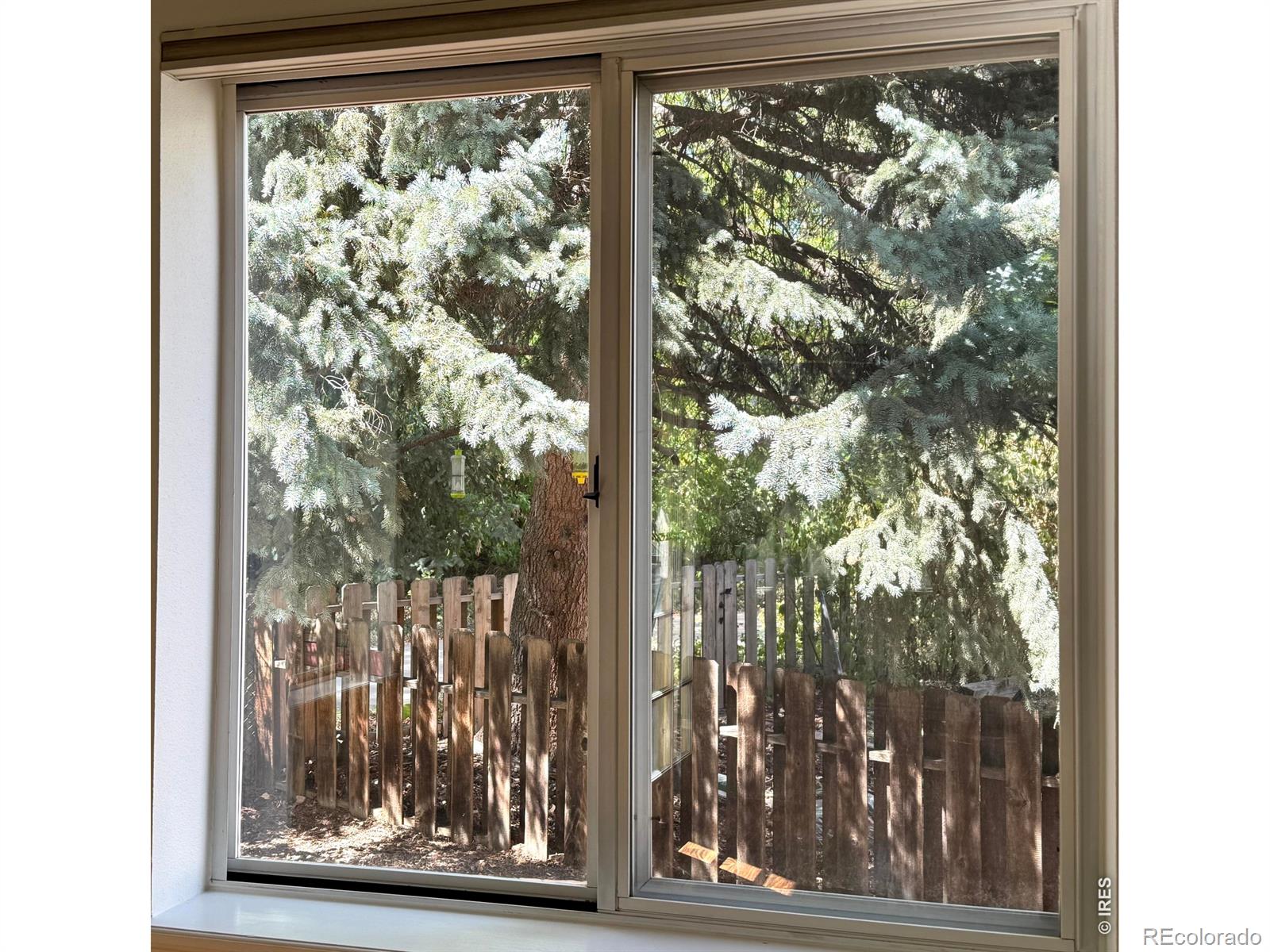 MLS Image #6 for 4824  hopkins place,boulder, Colorado