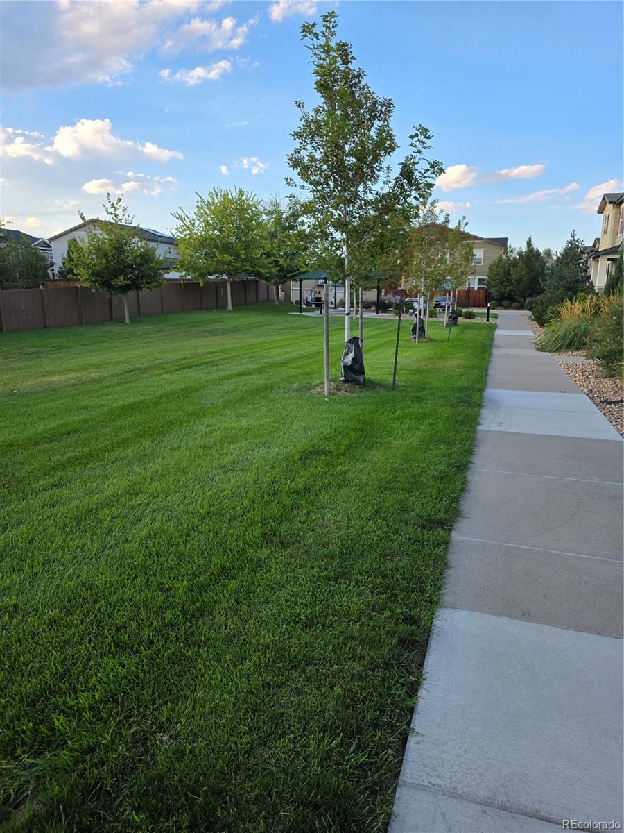 MLS Image #7 for 1279 s dallas court,denver, Colorado
