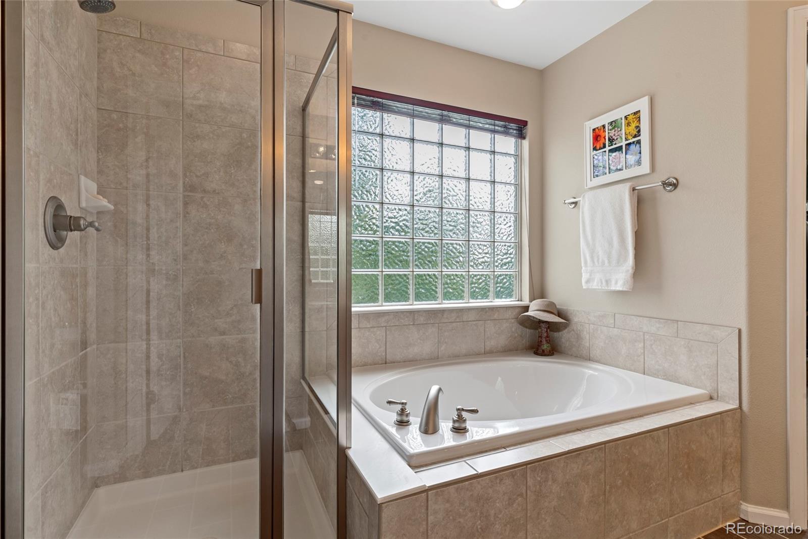 MLS Image #12 for 4089  bountiful circle,castle rock, Colorado
