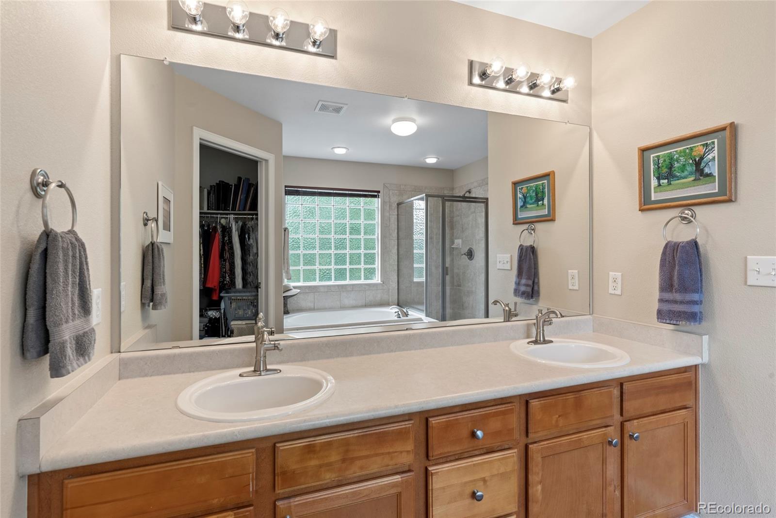 MLS Image #13 for 4089  bountiful circle,castle rock, Colorado