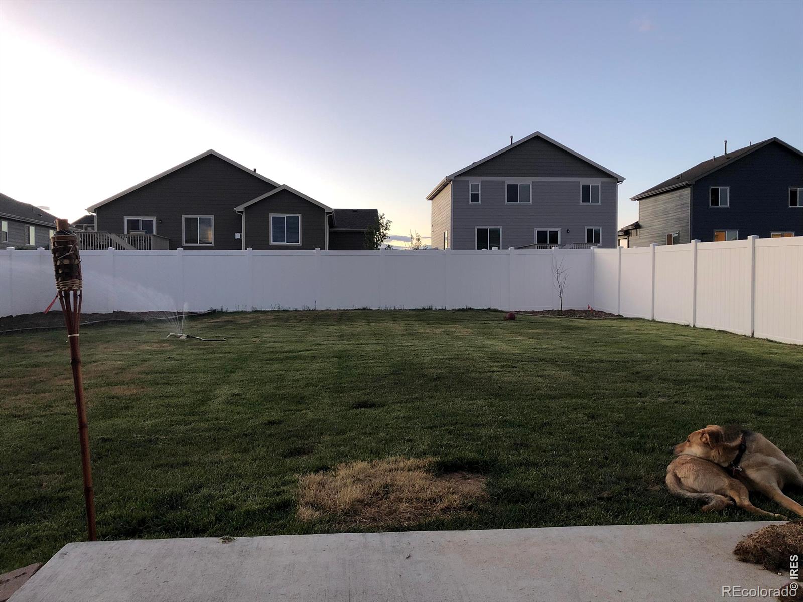MLS Image #3 for 1832  ruddlesway drive,windsor, Colorado