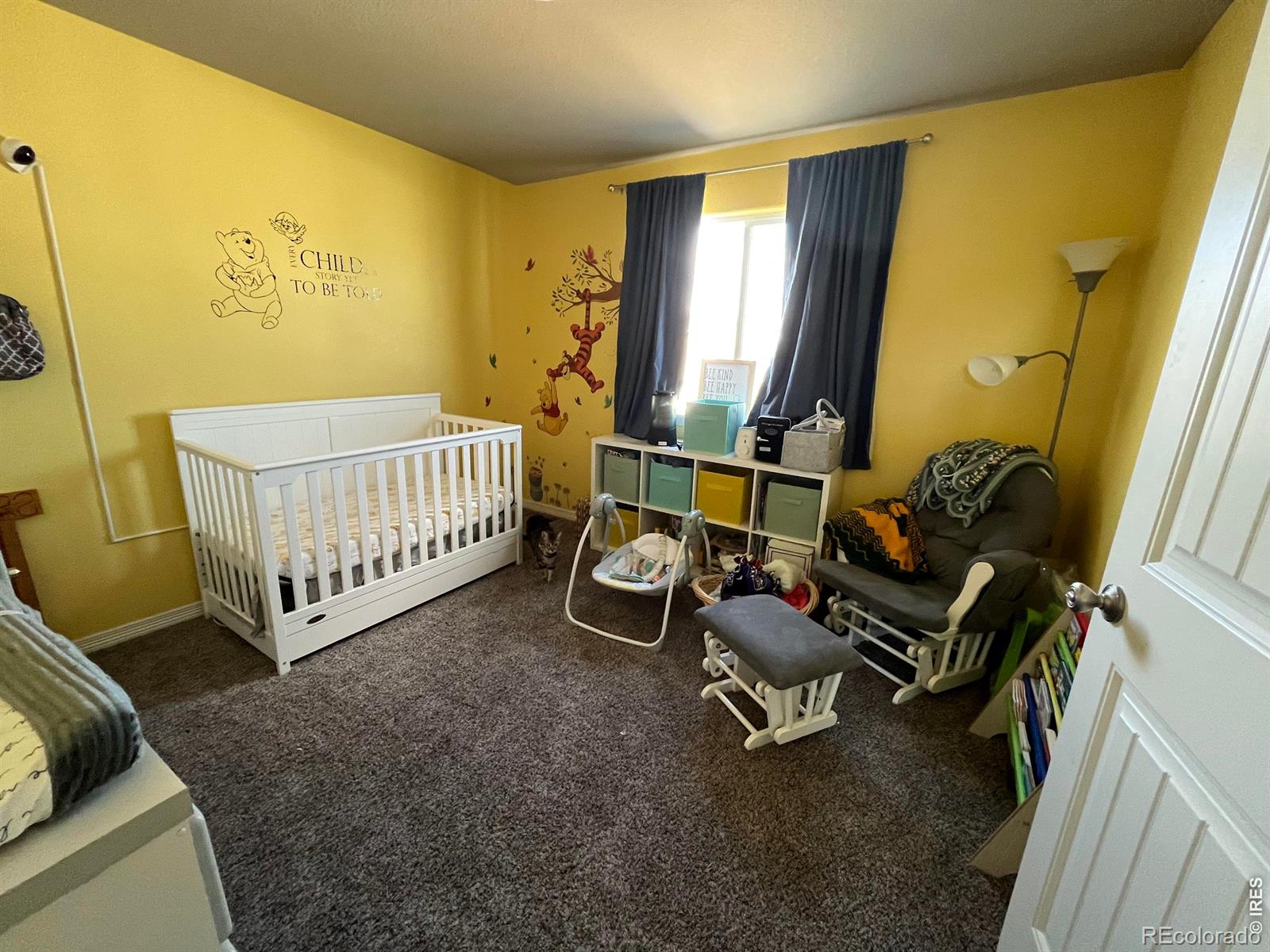 MLS Image #5 for 1832  ruddlesway drive,windsor, Colorado