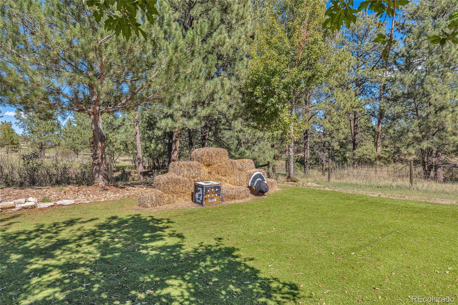 MLS Image #42 for 1750  pawnee parkway,elizabeth, Colorado