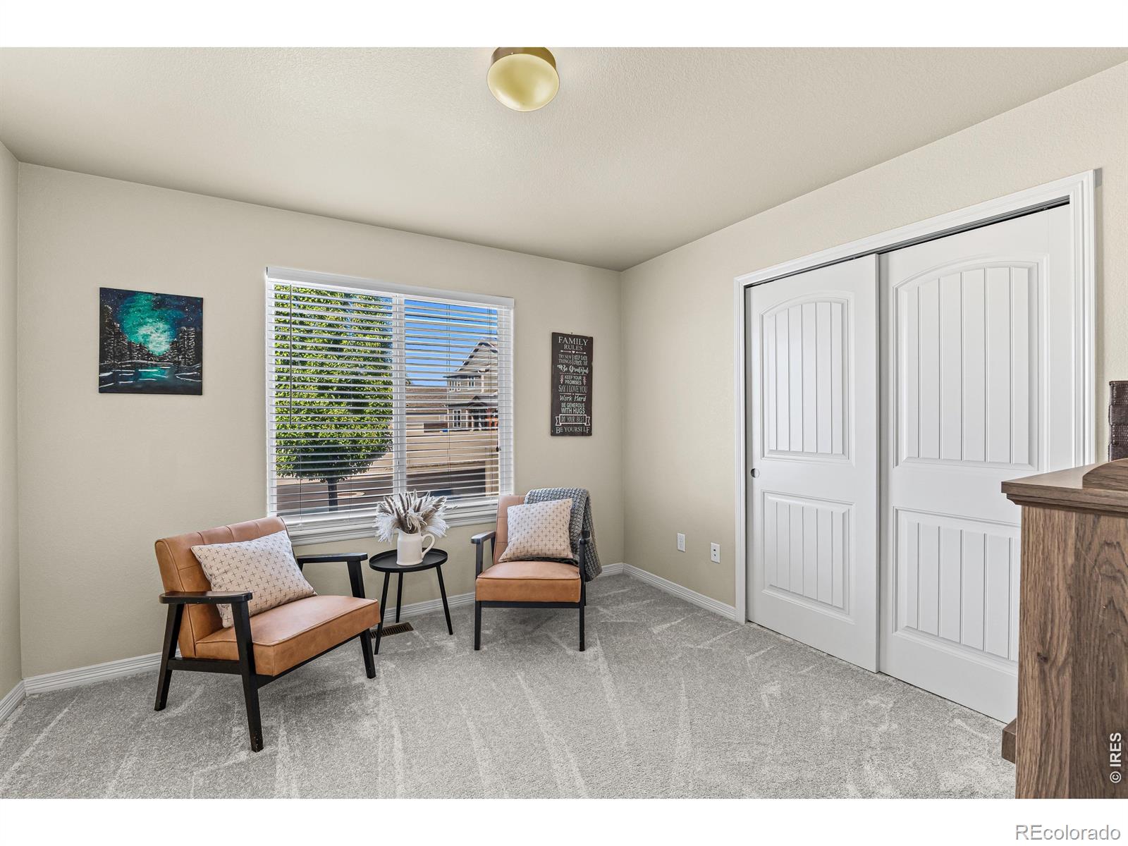 MLS Image #21 for 496  gannet peak drive,windsor, Colorado