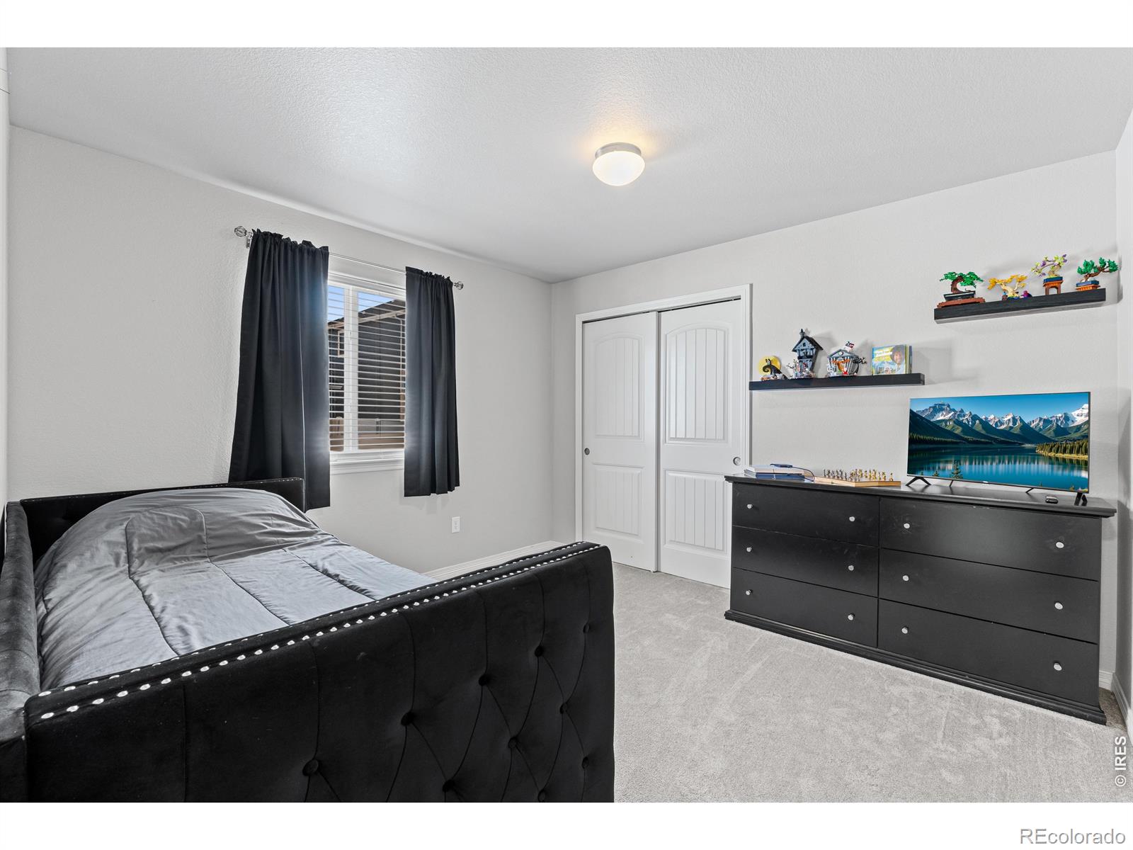 MLS Image #23 for 496  gannet peak drive,windsor, Colorado