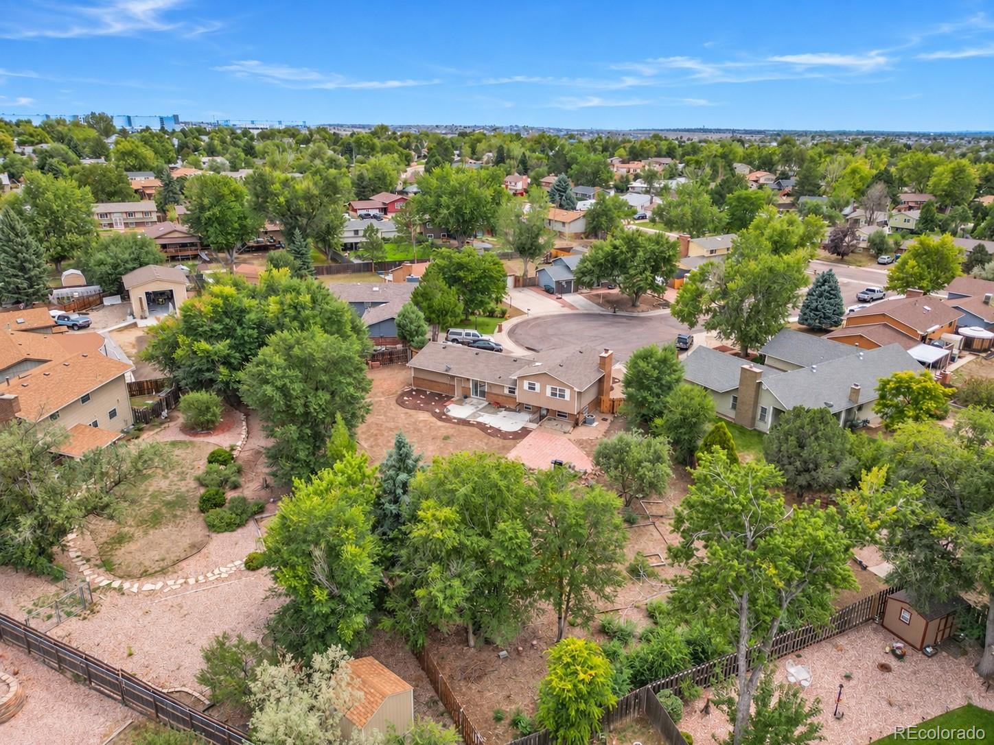 MLS Image #4 for 4020  manzana court,colorado springs, Colorado