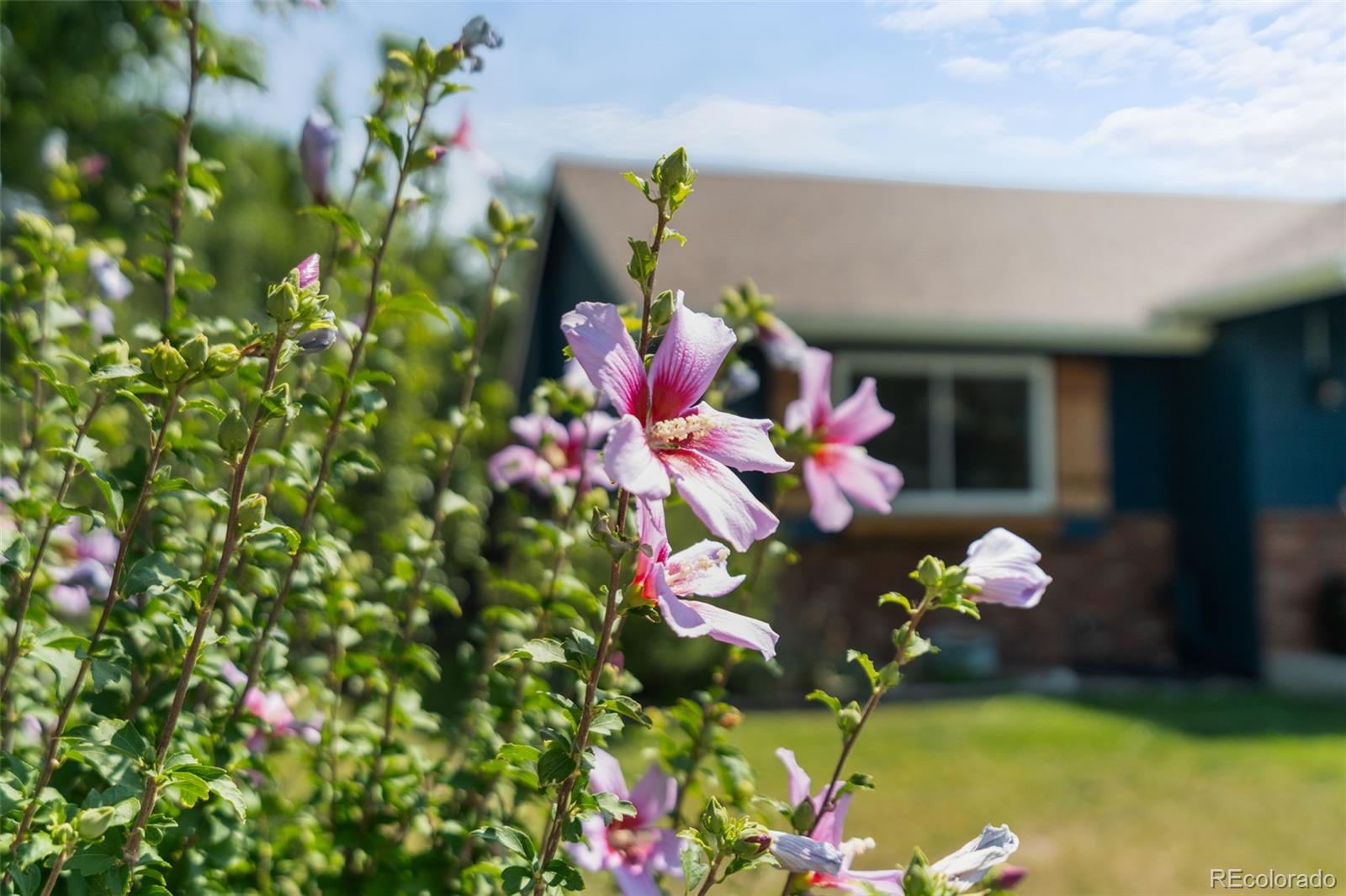 MLS Image #49 for 1142 s edinburgh drive,loveland, Colorado