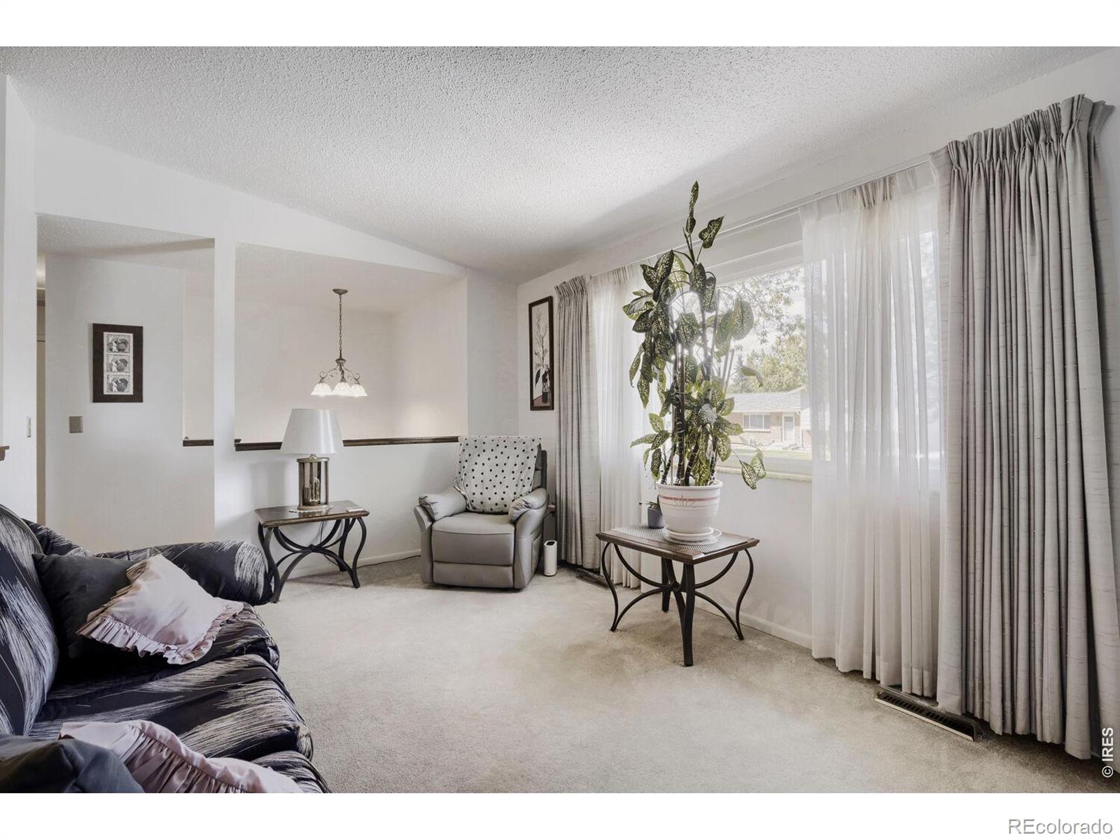 MLS Image #5 for 1208  juliana drive,loveland, Colorado