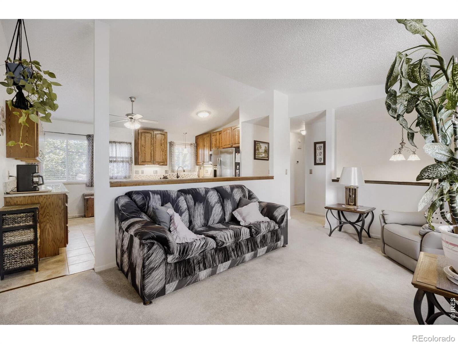 MLS Image #6 for 1208  juliana drive,loveland, Colorado