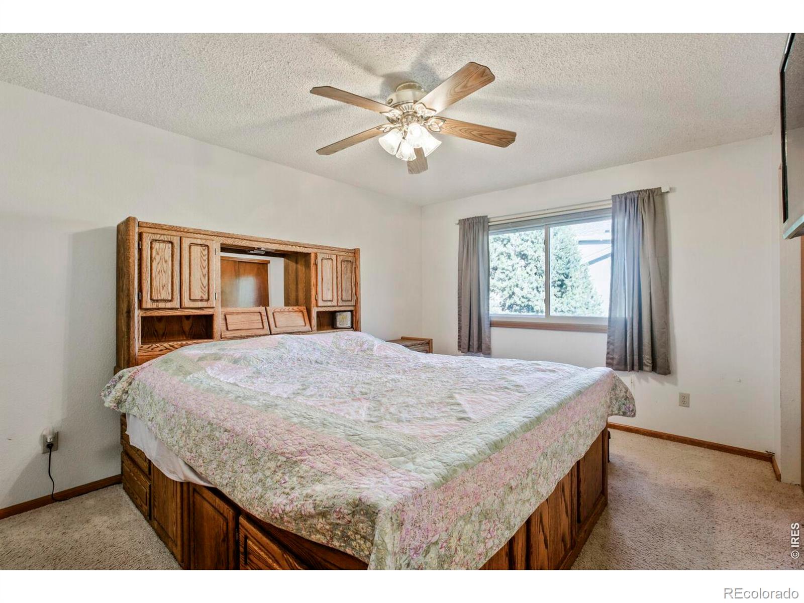 MLS Image #10 for 3410  red maple court,loveland, Colorado