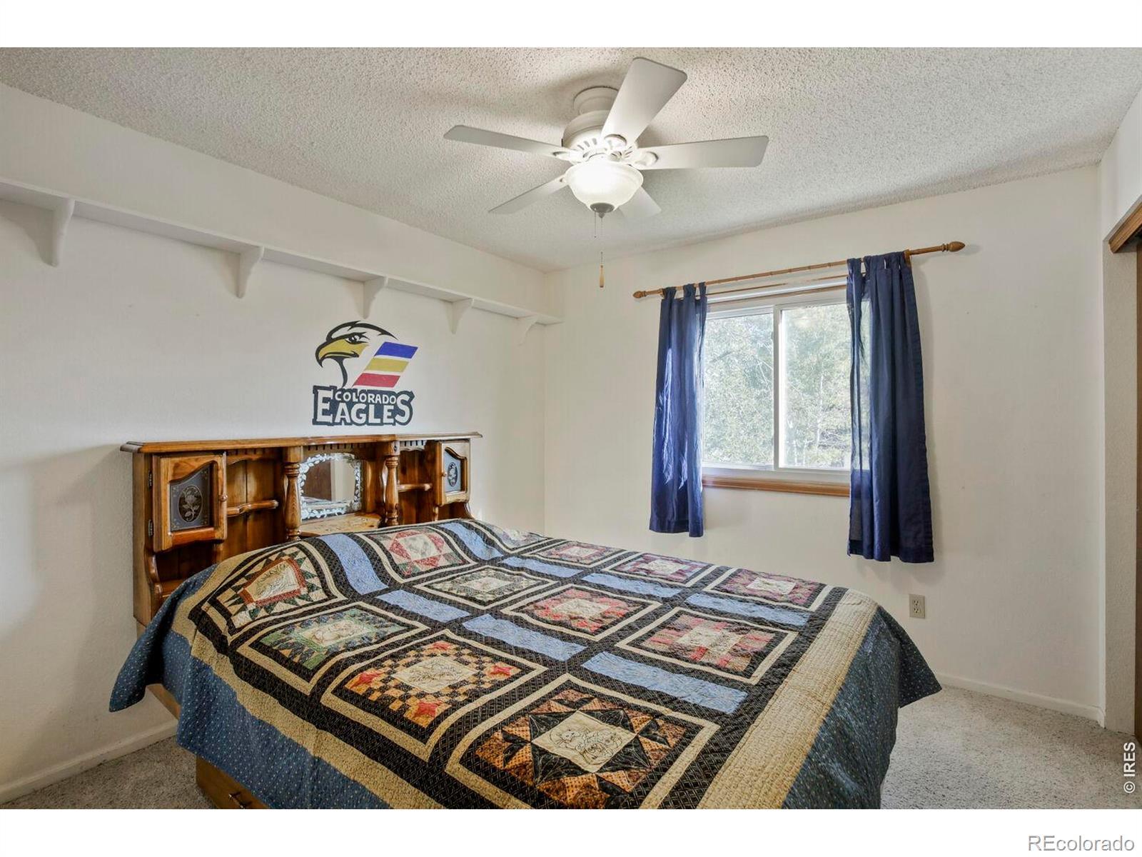 MLS Image #13 for 3410  red maple court,loveland, Colorado
