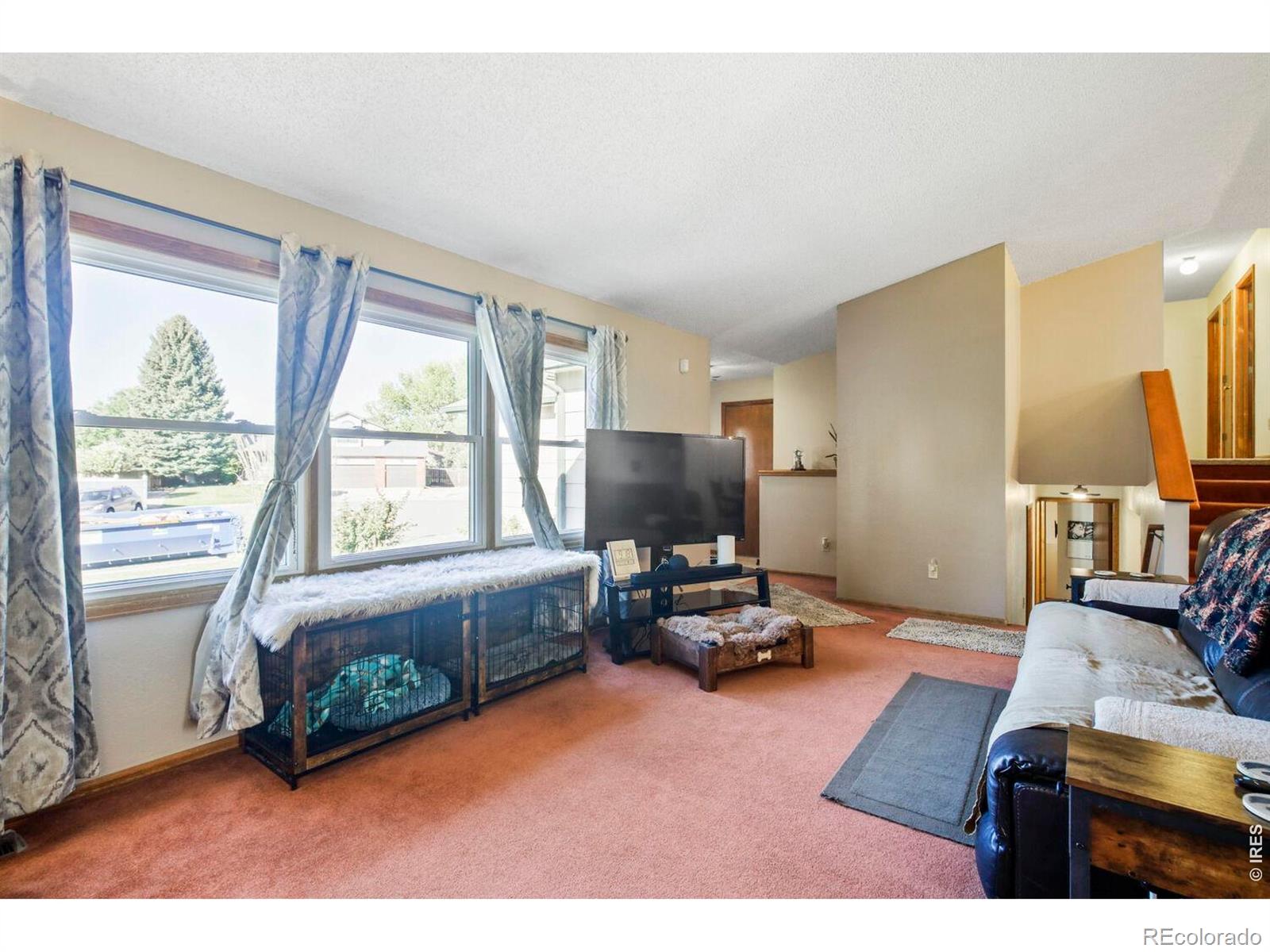 MLS Image #6 for 3410  red maple court,loveland, Colorado