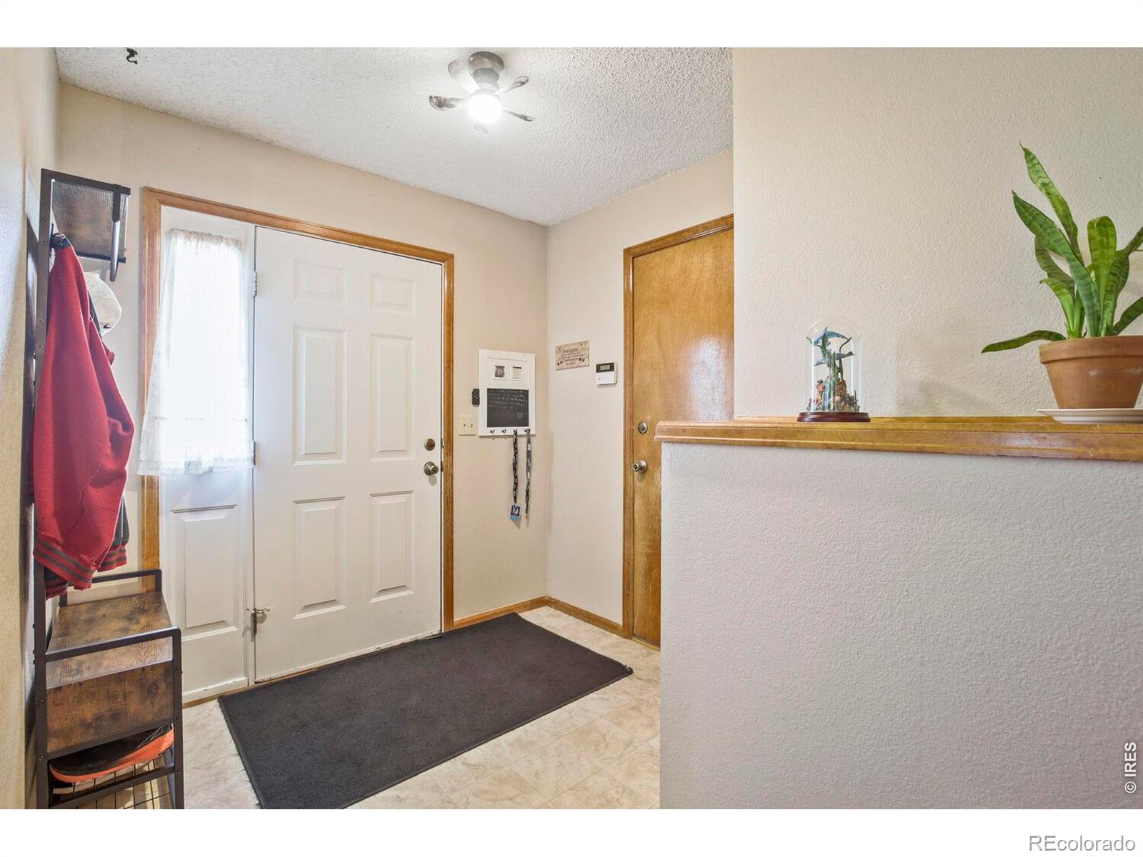 MLS Image #8 for 3410  red maple court,loveland, Colorado