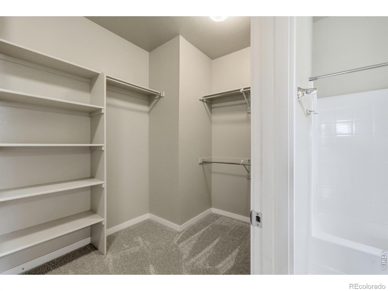 MLS Image #22 for 3858  eucalyptus street,wellington, Colorado