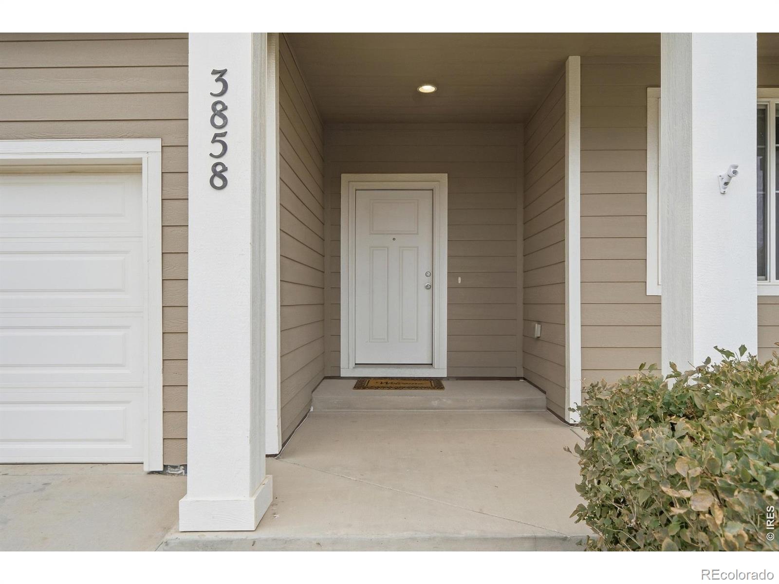 MLS Image #4 for 3858  eucalyptus street,wellington, Colorado