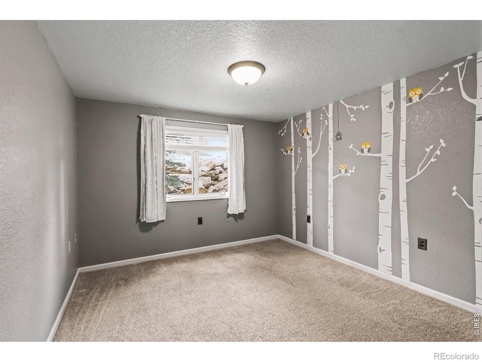 MLS Image #15 for 1745  wildfire road,estes park, Colorado
