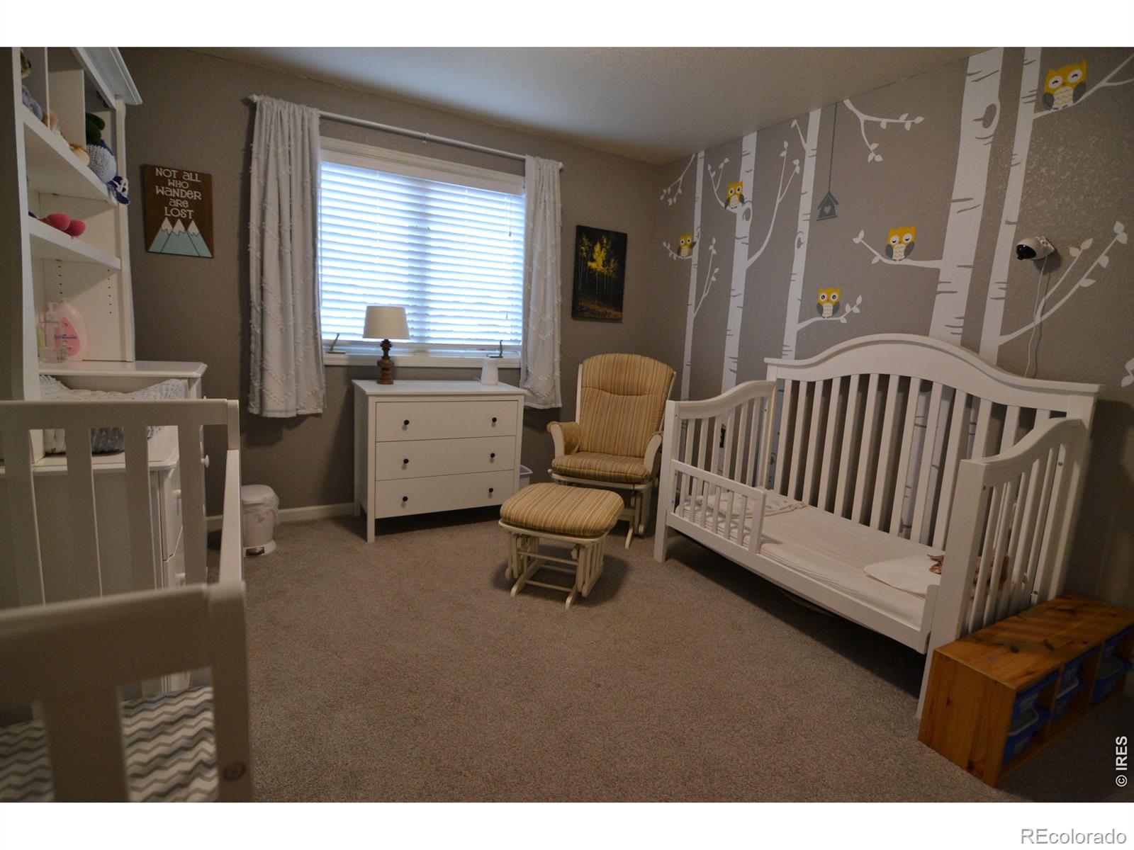 MLS Image #29 for 1745  wildfire road,estes park, Colorado