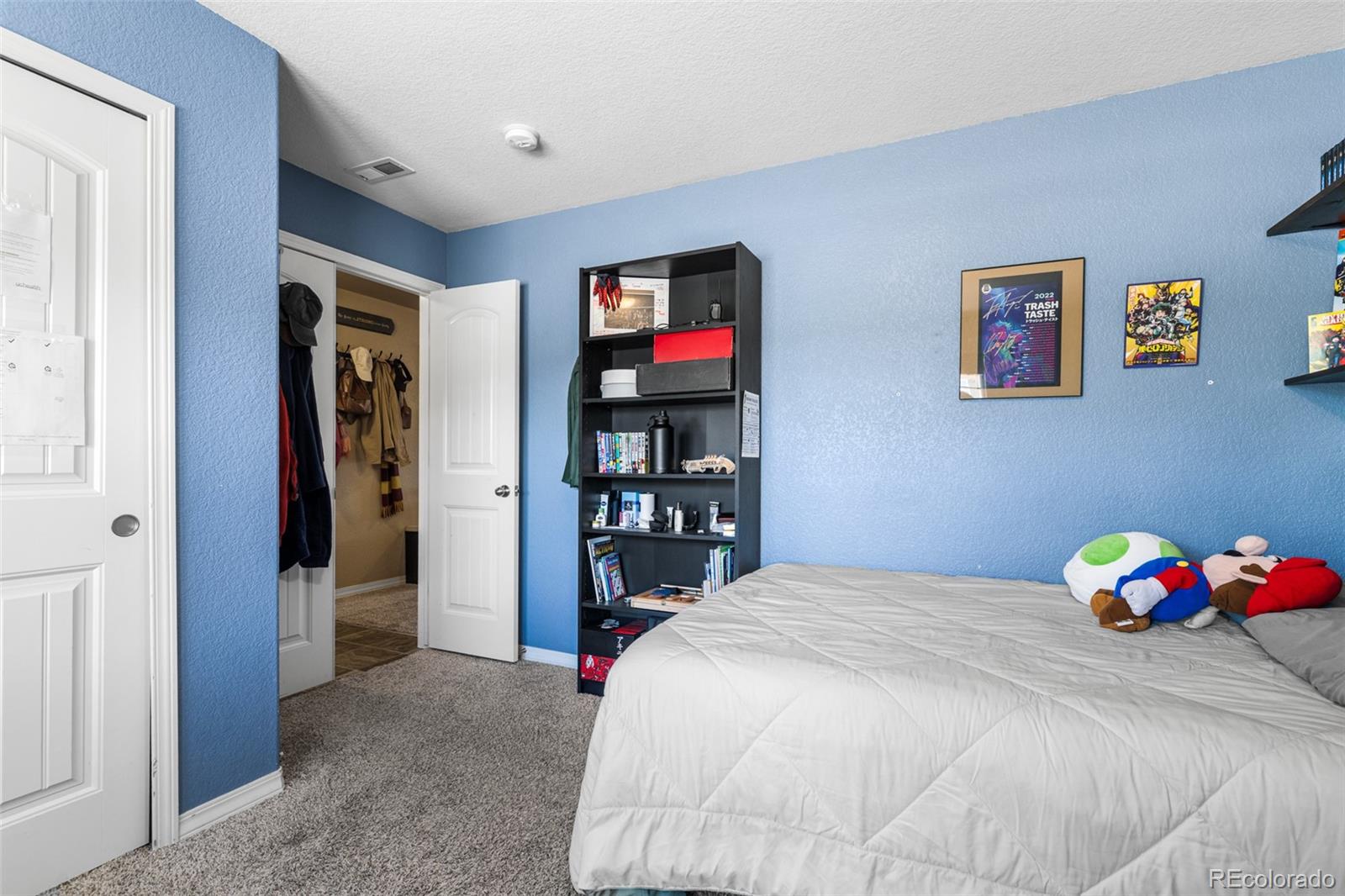 MLS Image #16 for 3893  winter sun drive,colorado springs, Colorado