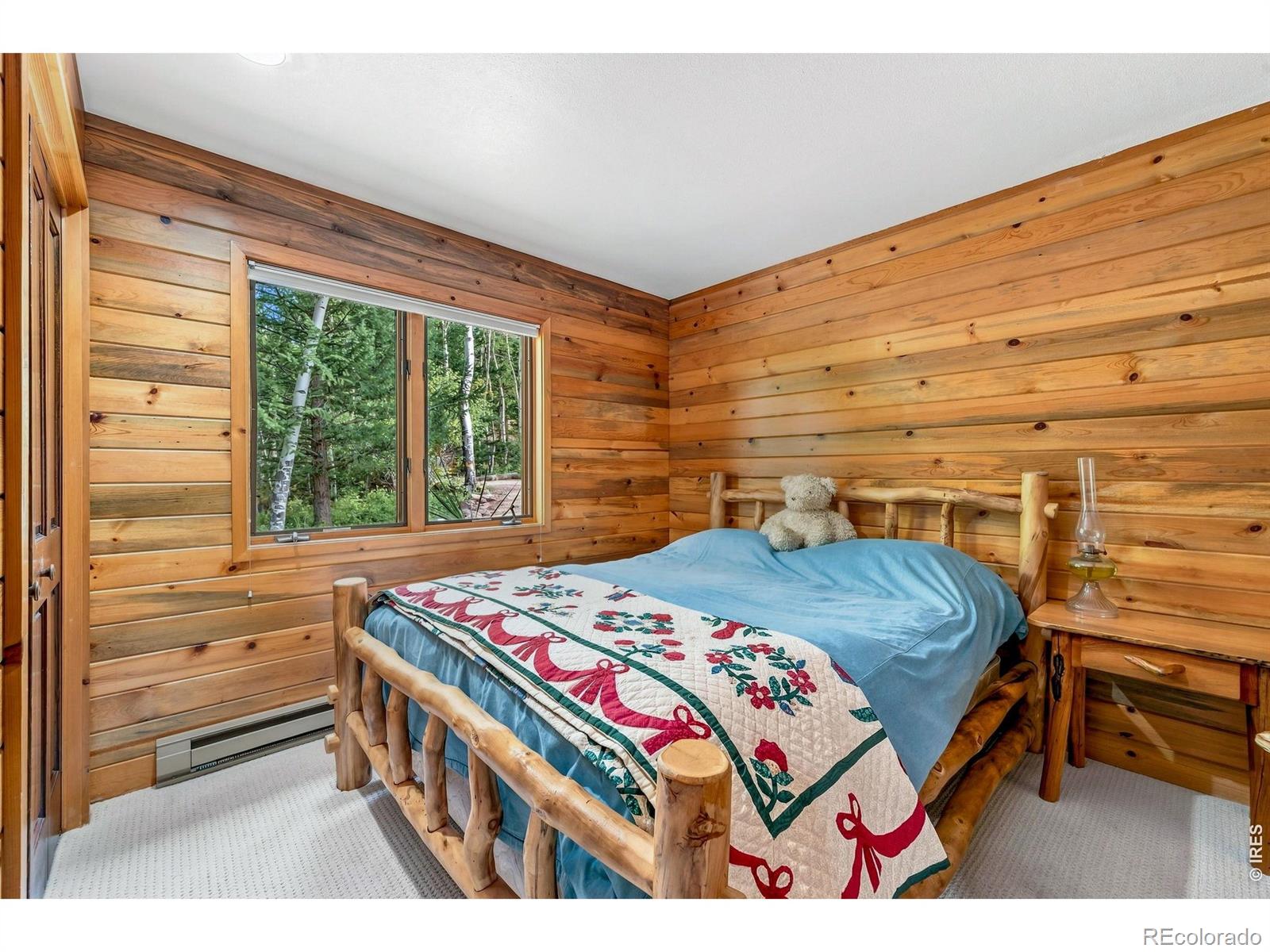 MLS Image #21 for 2504  cirrus lane,estes park, Colorado