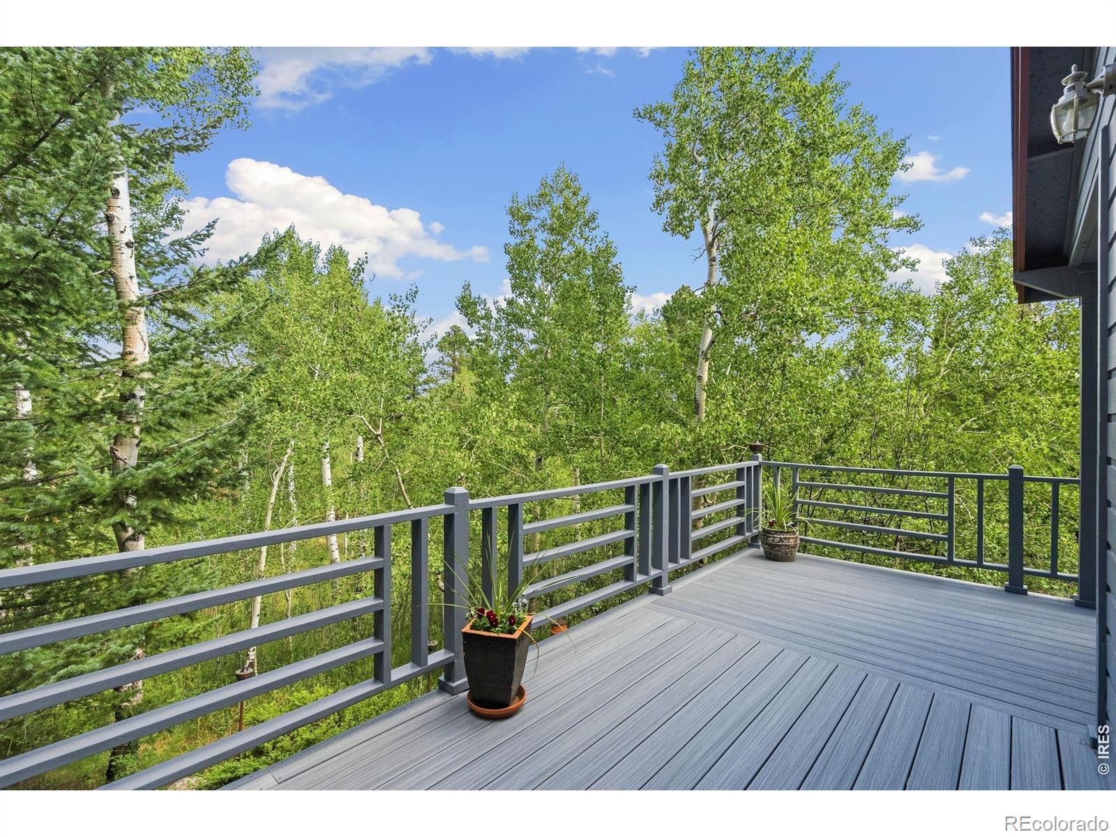MLS Image #38 for 2504  cirrus lane,estes park, Colorado