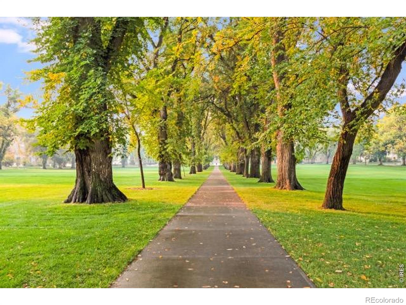 MLS Image #25 for 710  city park avenue,fort collins, Colorado