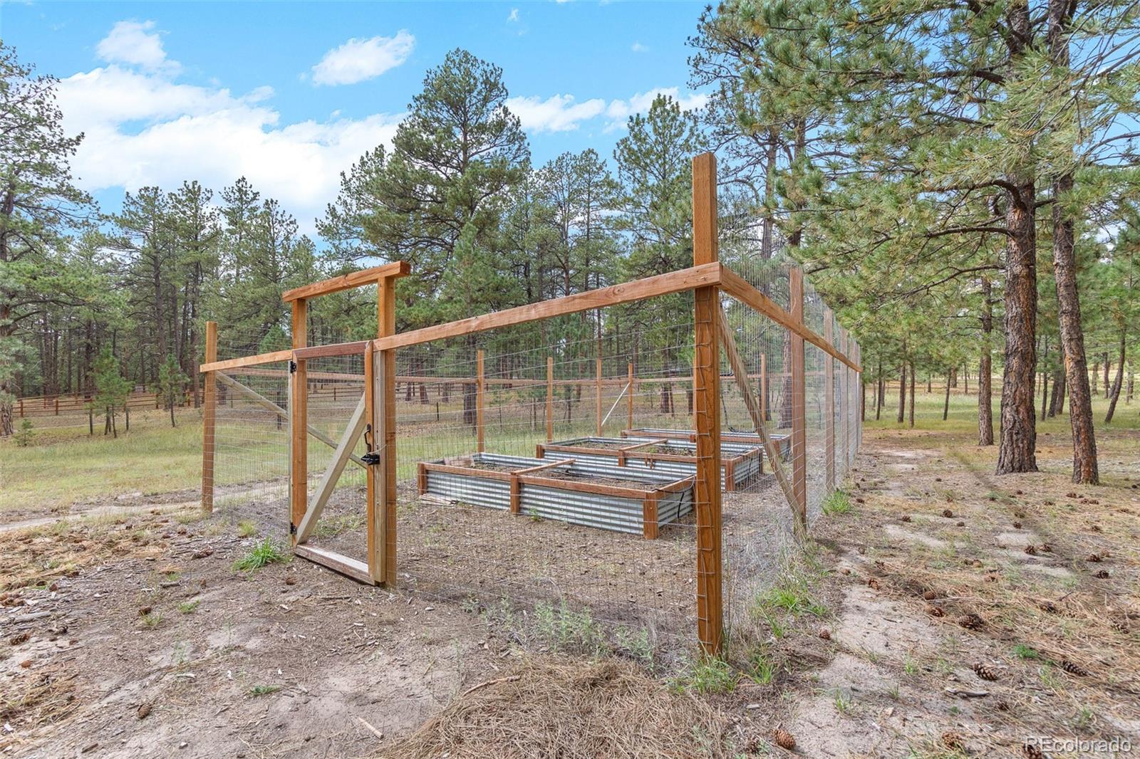 MLS Image #49 for 4528  downwest ride ,elizabeth, Colorado