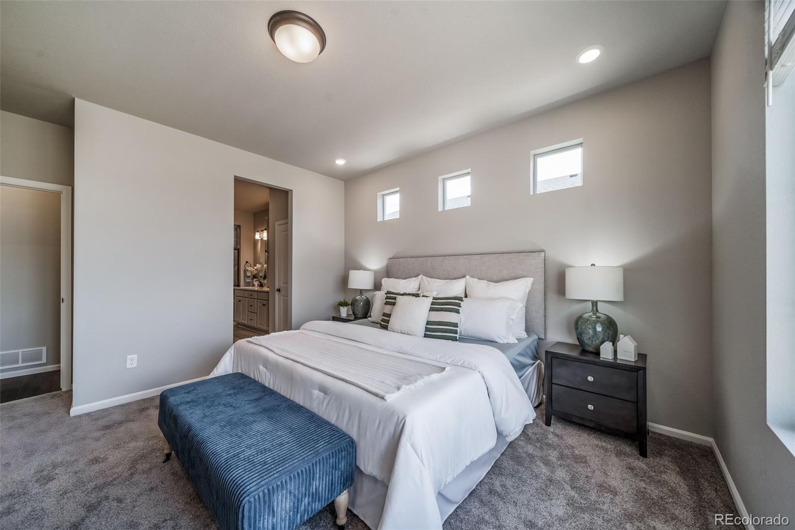 MLS Image #29 for 22204 e 49th place,aurora, Colorado