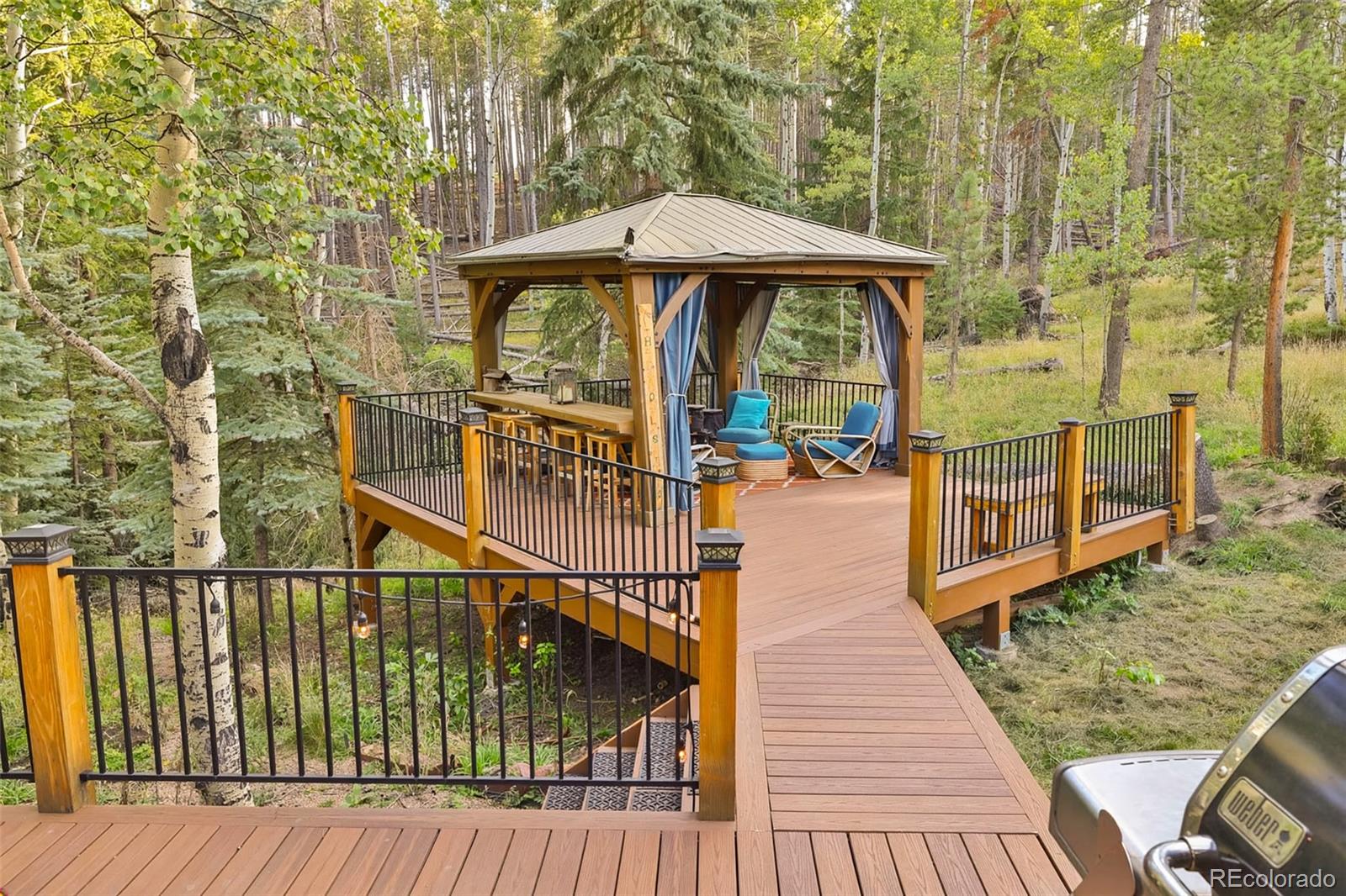 MLS Image #39 for 8481 s warhawk road,conifer, Colorado