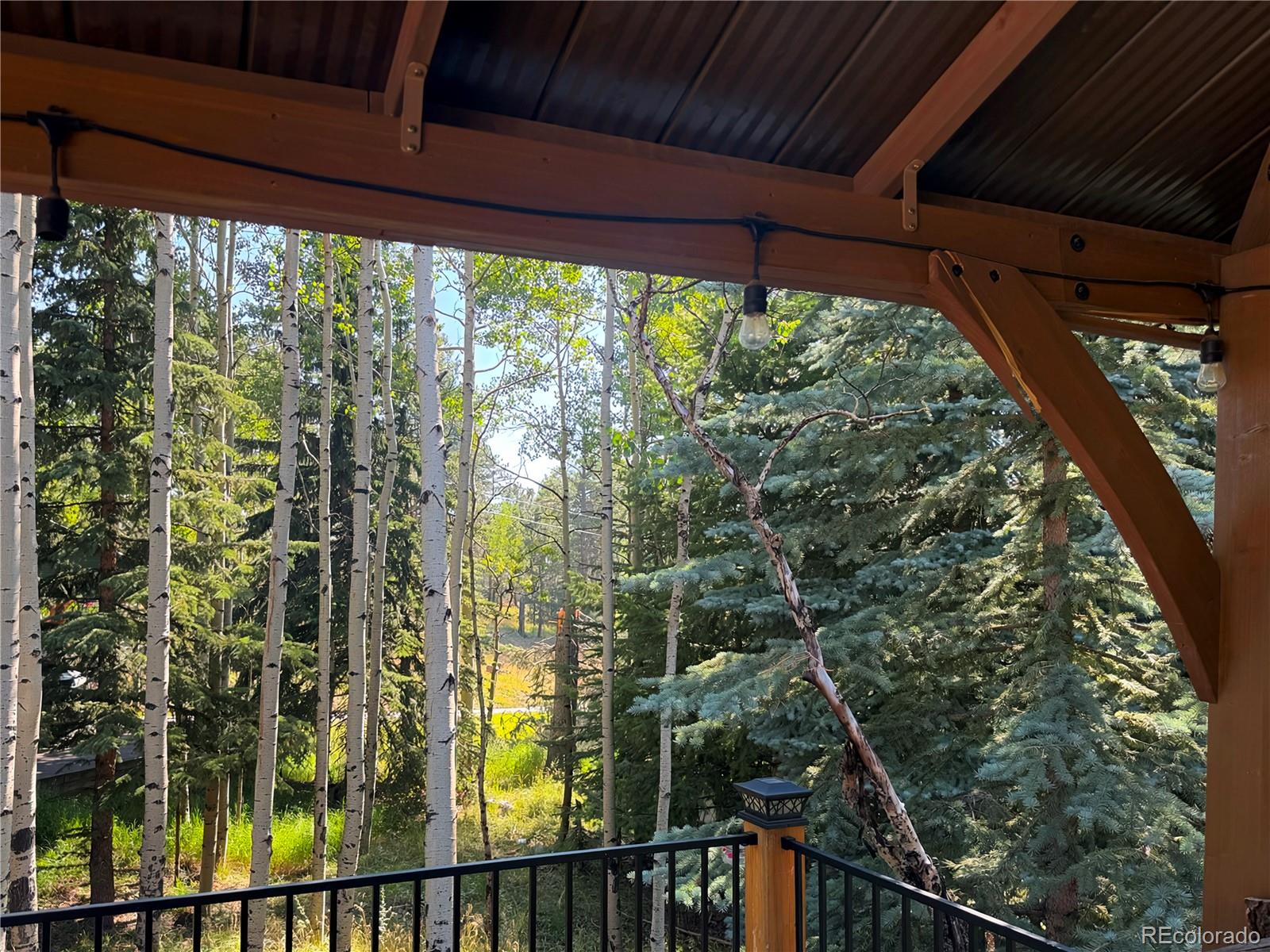 MLS Image #41 for 8481 s warhawk road,conifer, Colorado