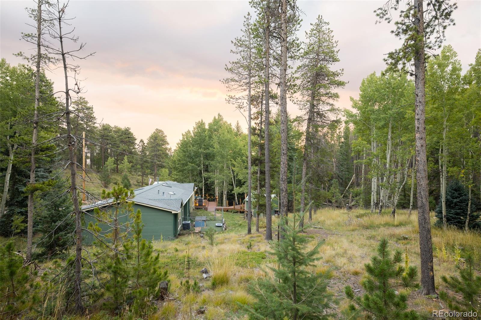 MLS Image #45 for 8481 s warhawk road,conifer, Colorado
