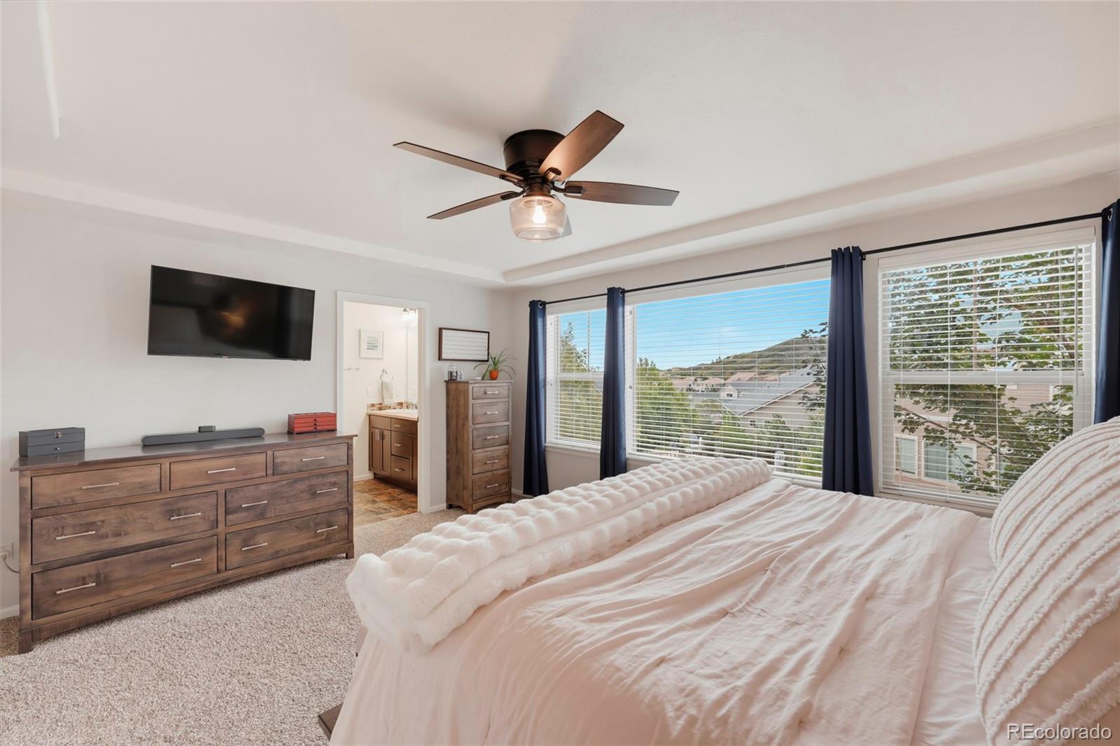 MLS Image #16 for 1516  raindrop way,castle rock, Colorado