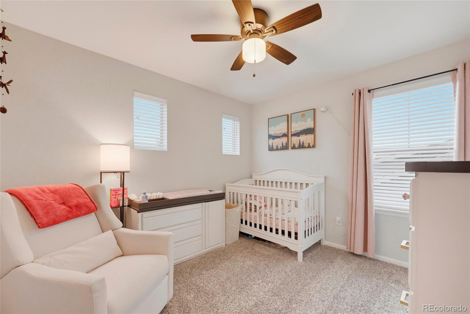 MLS Image #18 for 1516  raindrop way,castle rock, Colorado