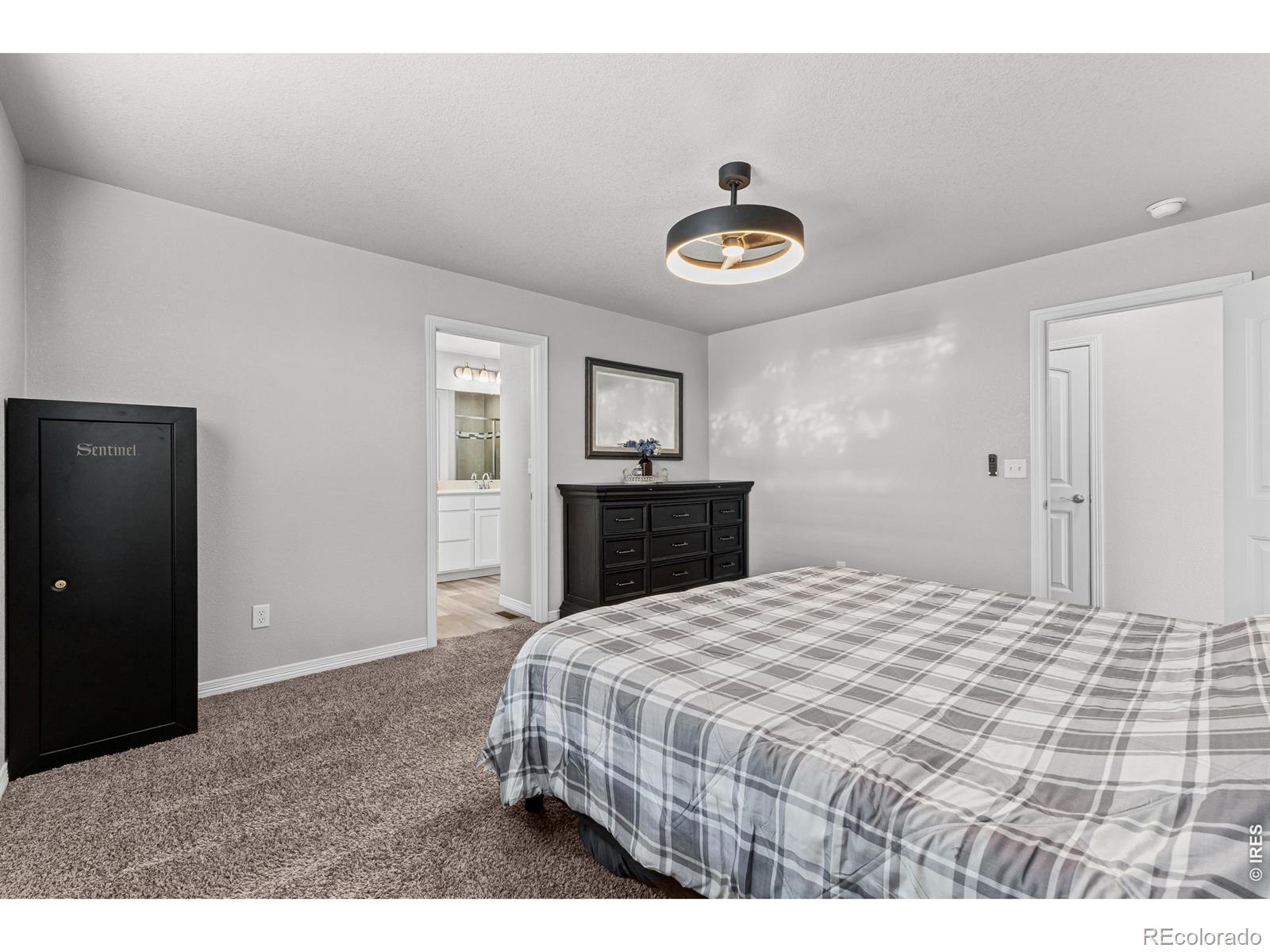MLS Image #16 for 879  emerald lakes street,severance, Colorado