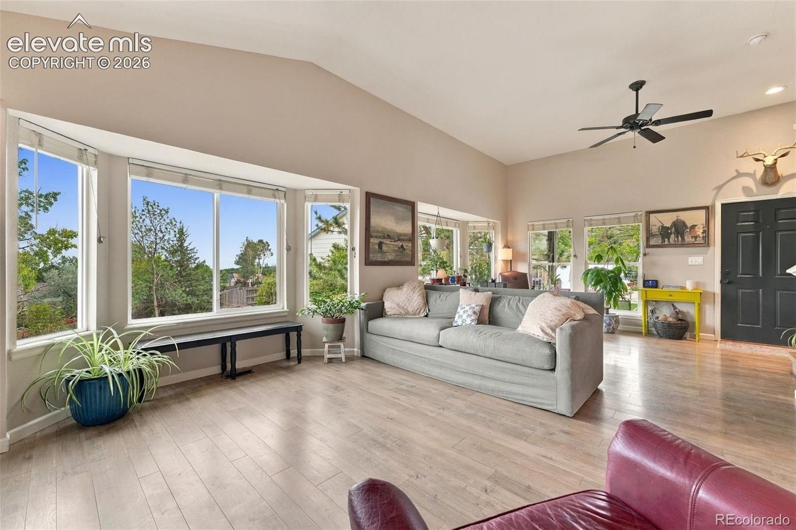 MLS Image #6 for 7253  julynn road,colorado springs, Colorado