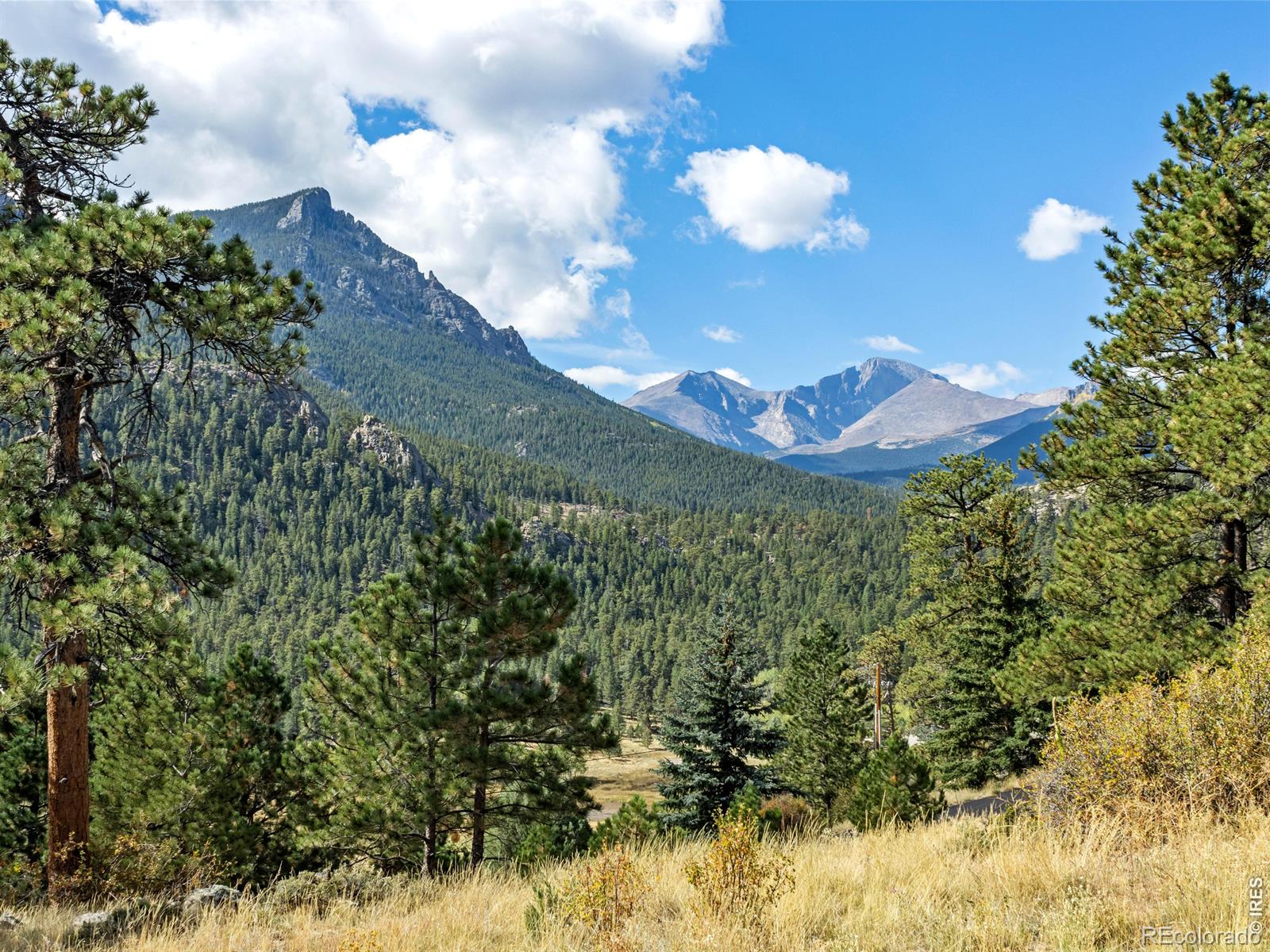 MLS Image #3 for 3441  saint francis way,estes park, Colorado