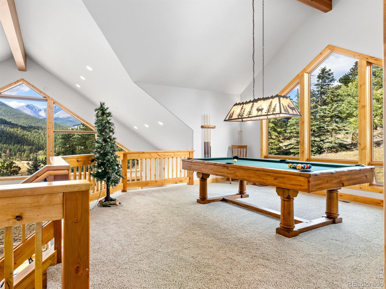 MLS Image #30 for 3441  saint francis way,estes park, Colorado