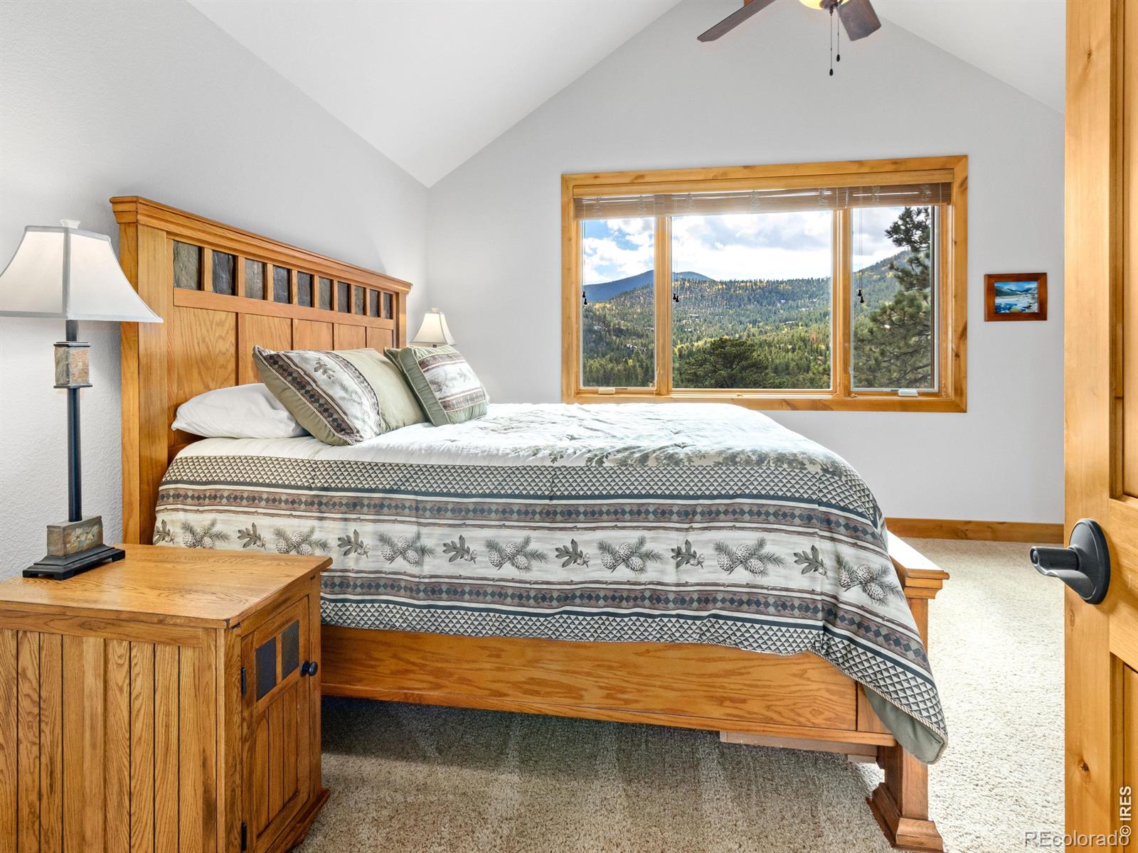 MLS Image #32 for 3441  saint francis way,estes park, Colorado