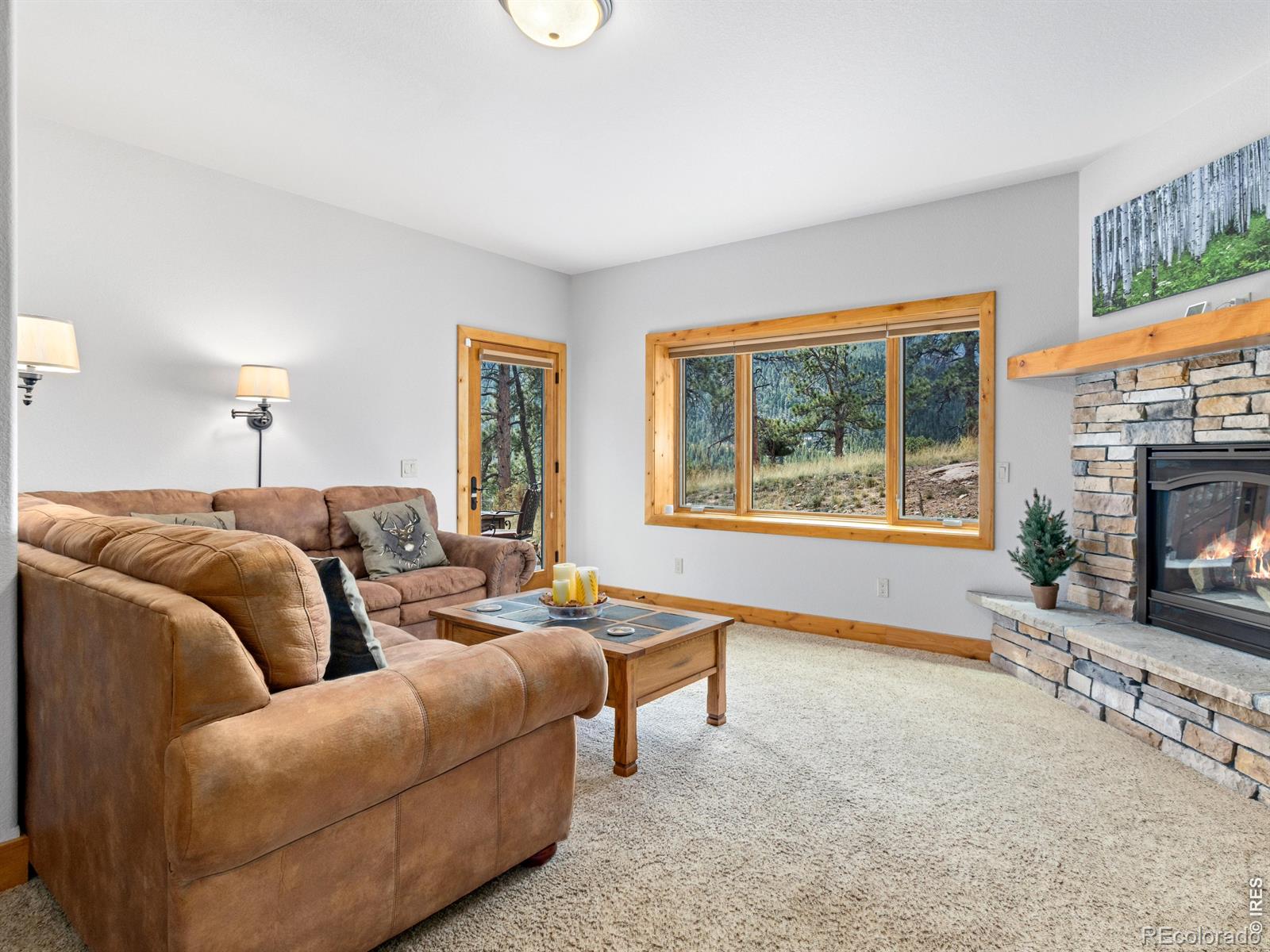 MLS Image #39 for 3441  saint francis way,estes park, Colorado