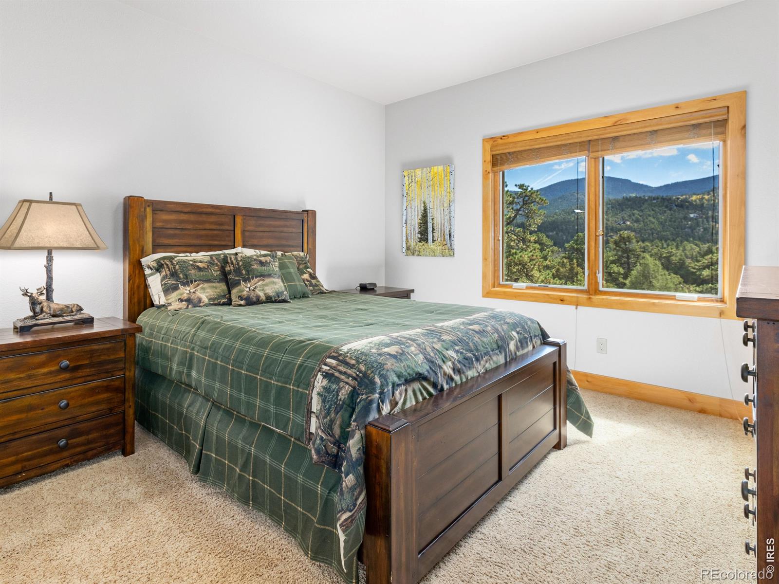 MLS Image #40 for 3441  saint francis way,estes park, Colorado