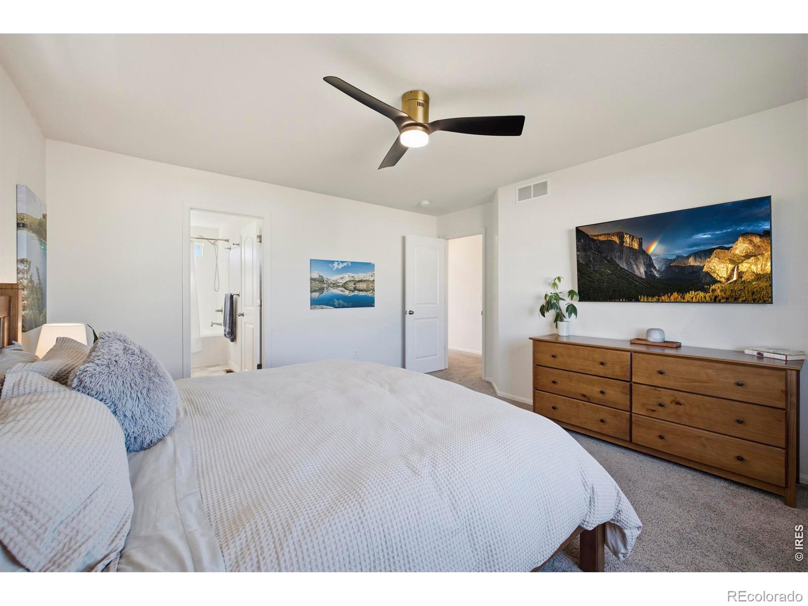 MLS Image #17 for 1662  thrive drive,windsor, Colorado