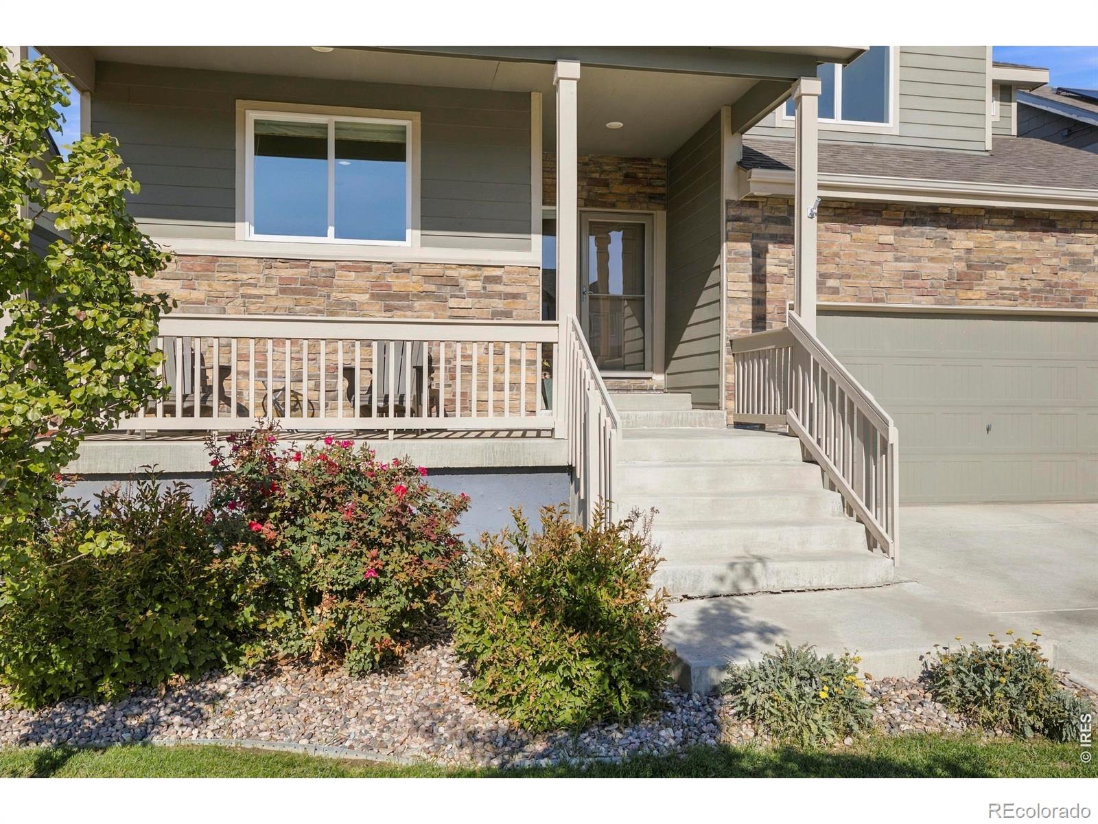 MLS Image #2 for 1662  thrive drive,windsor, Colorado