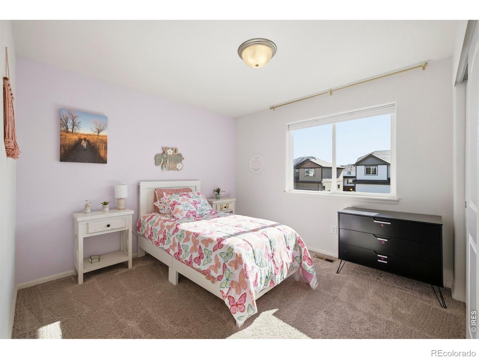 MLS Image #20 for 1662  thrive drive,windsor, Colorado
