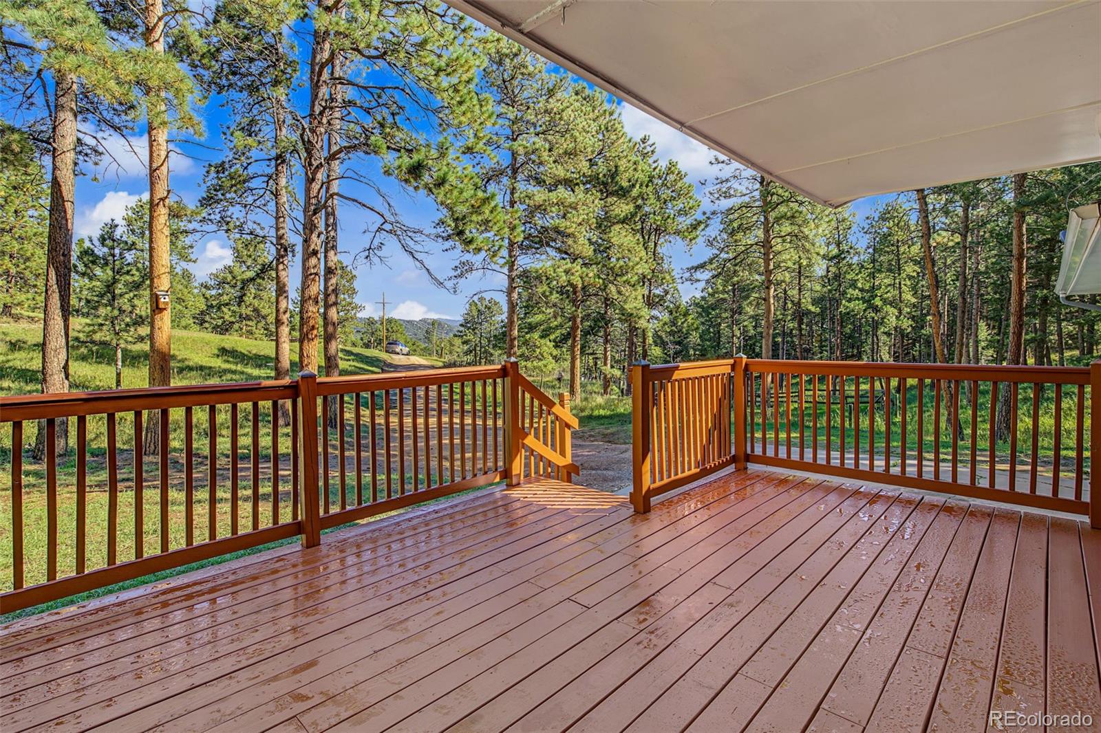 MLS Image #1 for 29592  dorothy road,evergreen, Colorado