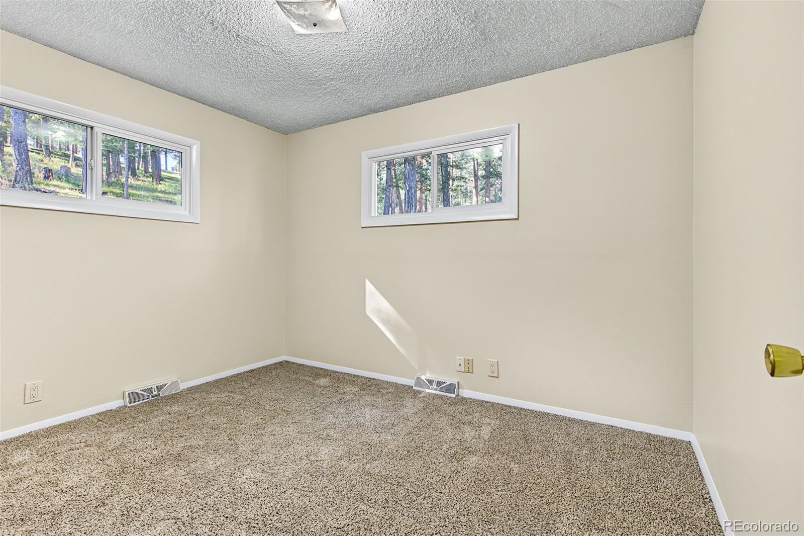 MLS Image #12 for 29592  dorothy road,evergreen, Colorado
