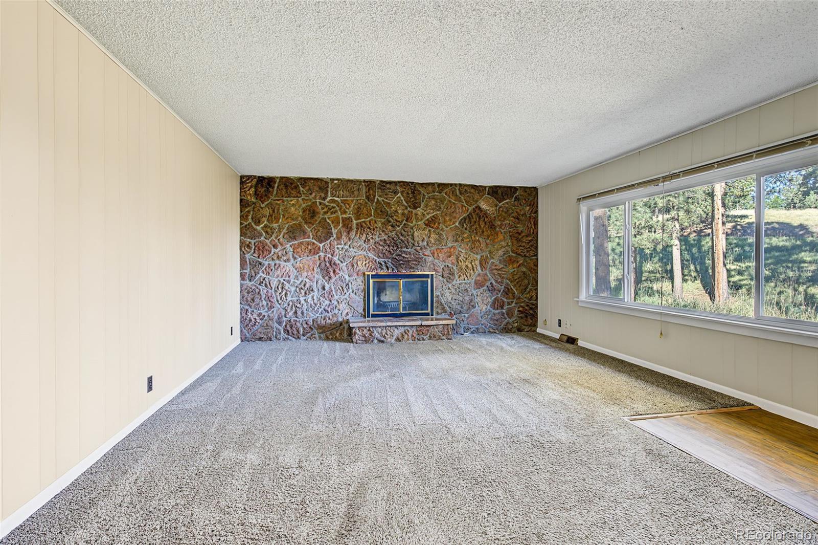 MLS Image #3 for 29592  dorothy road,evergreen, Colorado