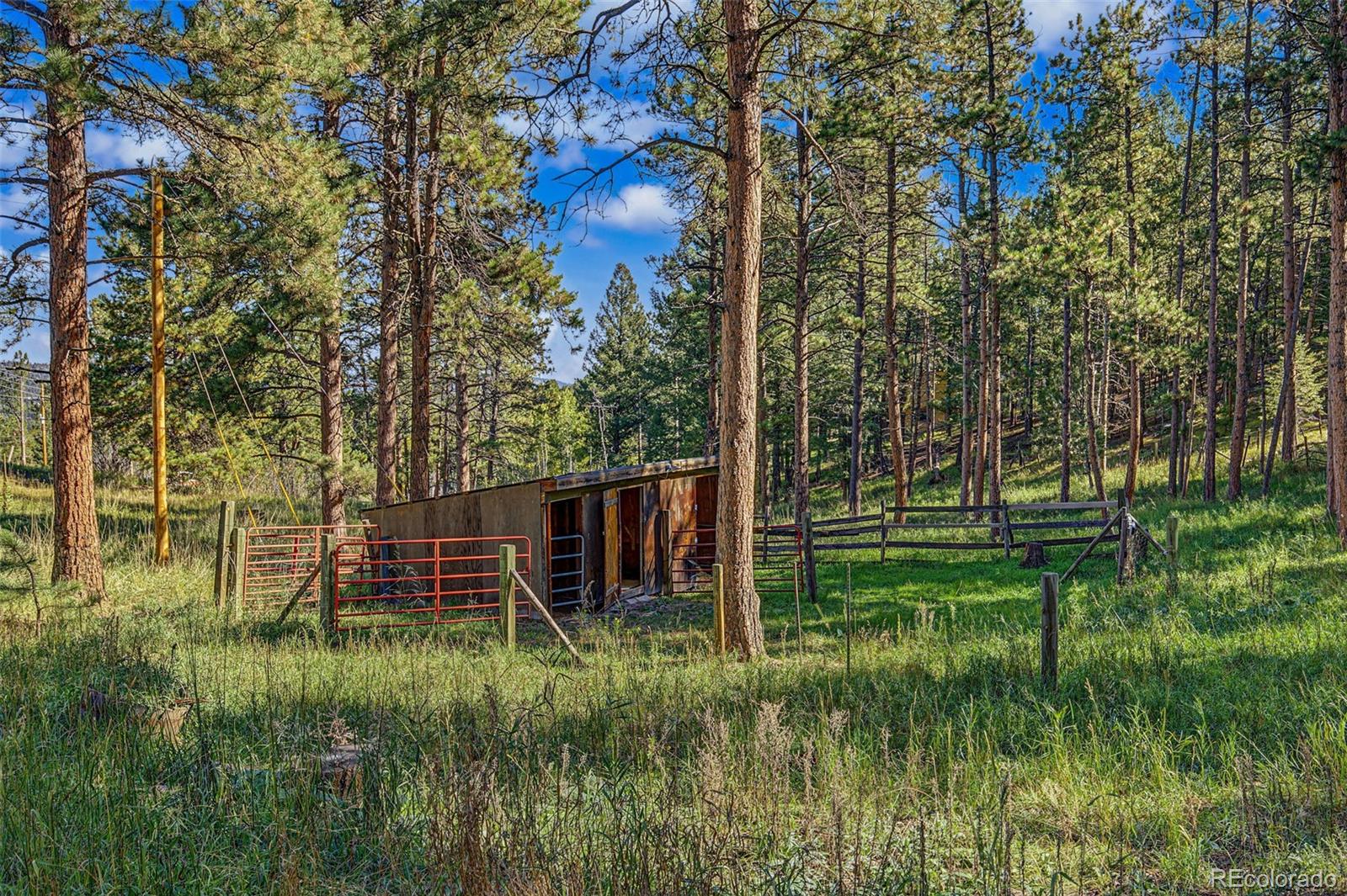 MLS Image #32 for 29592  dorothy road,evergreen, Colorado